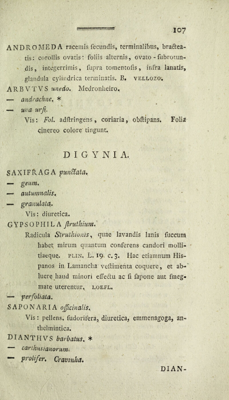 -107 ANDROMEDA racemis fecundis, terminalibus, bractea- tis: corollis ovatis: foliis alternis, ovato -fubrotun- ' dis, integerrimis, fupra tomentofis, infra lanatis, glandula cylindrica terminatis. B. vellozo; ARBVTVS unedo. Medronheiro. — andraclme. * ~ uva urfi. Vis: FoL adflringens, coriaria, obftipans. Folia cinereo colore tingunt. D I G Y N I A, SAXIFRAGA — geum. ' — autunmalis^ ■ * Vis: diuretica. GYPSOPHILA Jlnithium.^ Radicula Struthionis^ quae lavandis lanis fuccum habet mirum quantum conferens candori molli- tiaeque. 'PLIN. L. 19. c. 3. Hac etiamnum His- panos in Lamancha vefliimehta coquere, et ab- liiere^haud minori elfectu ac fi fapone aut fmeg- mate uterejitur.. loefl. — perfotiata. SAPONARIA oficinalis.. Vis: pellens, fudorifera, diuretica/ emmenagoga, an- thelmintica. DIANTHVS barbatus. ♦ , •— canhusianorumi- — prolifer, Cravtnhct. granulata. DIAN-