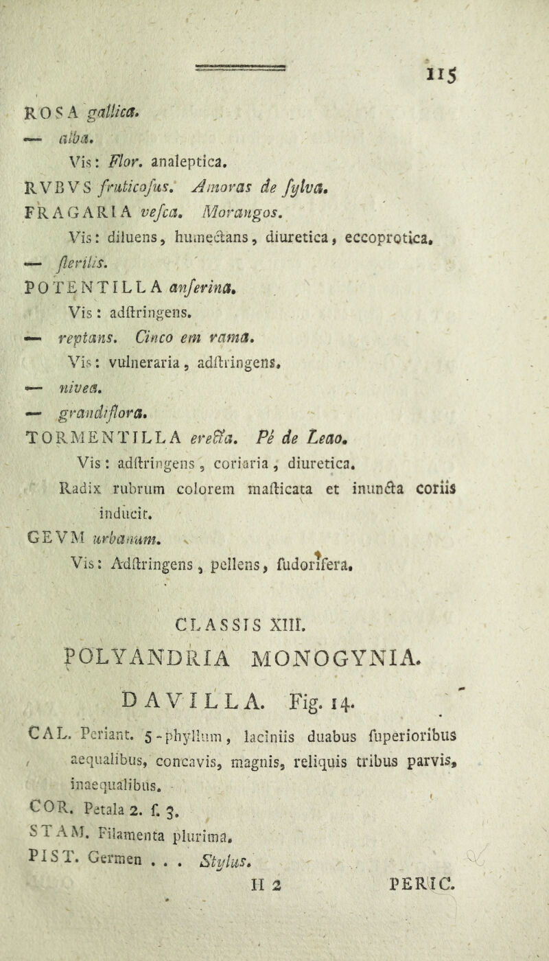 ~ alba. Vis: Flor, analeptica. JlVBV S fniticofus. A moras de fylva. FR A GARI A vejca. Moroingos. Vis: diluens, hiuneclans, diuretica, eccoprotica. — jlerilis. P 0 T £ N T i L L A anferina* Vis: adftringens. — reptans. Cinco em rama. Vis: vulneraria, adllringens. ~ nivea. — grandrflora. T 0 R M ENTI L L A erecta. Pe de Leao. Vis : addringeiis , coriaria , diuretica. Radix rubrum colorem matlicata et inunda coriis inducit. GEVM urbanum, v Vis: Adilringens, pellens, fudorifera, CLASSIS xiir. POLYANDRIA MONOGYNIA. DAVILLA. Fig. 14. CAL. Pcriant. s-phyllum, laciniis duabus fuperioribus , aequalibus, concavis, magnis, reliquis tribus parvis, inaequalibus. - COR. Petala 2. f. 3. ' STAiM. Filamenta plurima. PIST. Germen . . . S^ihis. ' . H2 i PERIIC.