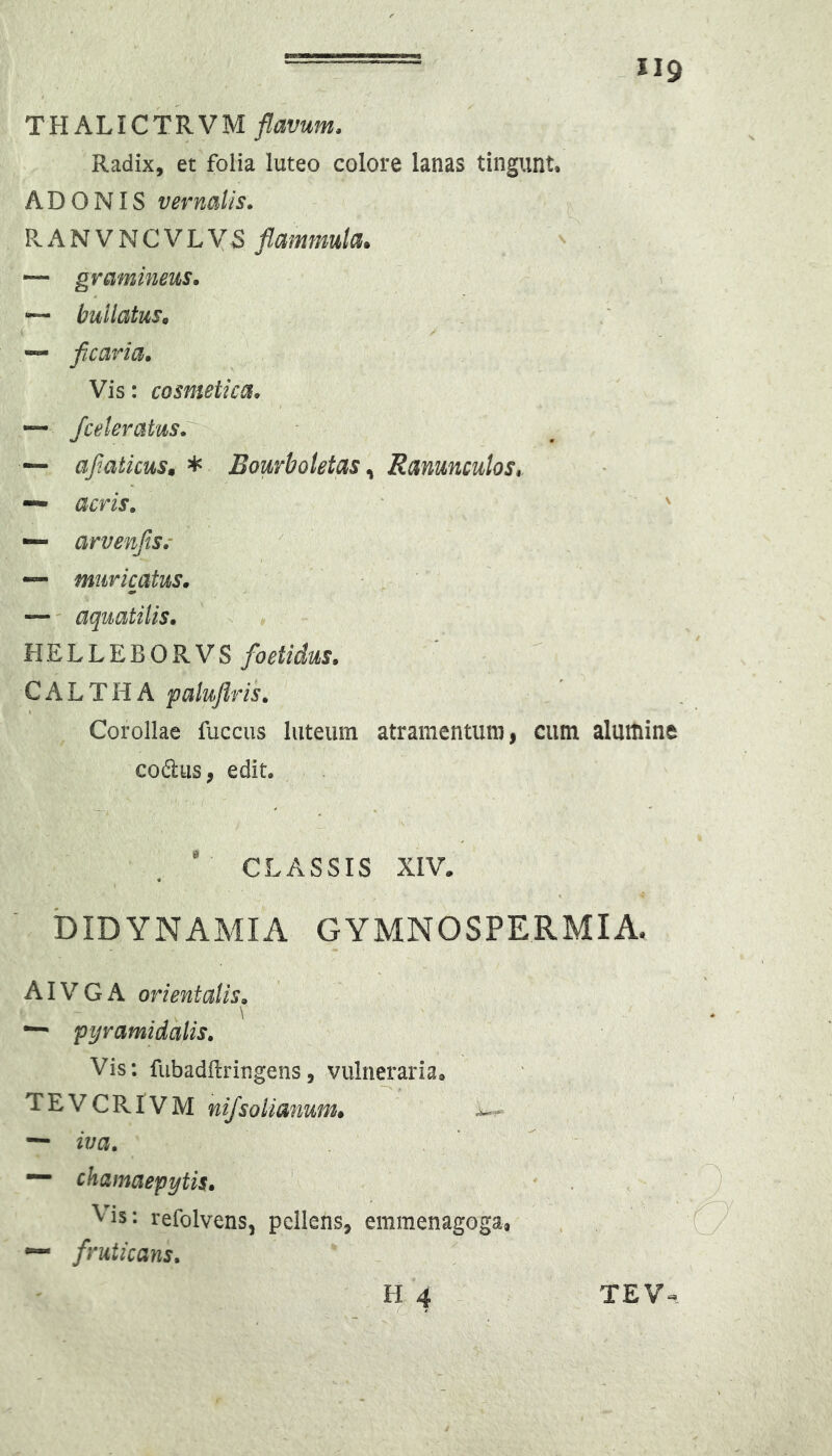 THALICTRVM Radix, et folia luteo colore lanas tingunt. ADONIS vernalis. KANVNCVLVS fiammuk. — gramineus. ~ bullatus. / «— ficaria» Vis: cosmetica» — ficeleratus. — afiaticus» * Bourboletas ^ Ranunculos» — acris, — arvenfits,- ’ — muricatus» fioetidus» CALTHA palujlris» Corollae fuccus luteum atramentum, cum alumine codus, edit, ' CLASSIS XIV. biDYNAMIA GYMNOSPERMIA^ AI VGA orientalis» — pyramidalis» Vis: fubadftringens, vulneraria» TEVCRIVM nifisolianum» ^ — iva» chamaepytis» Vis: refolvens, pellens, emmenagoga, — firuticans» H 4 - TEV«