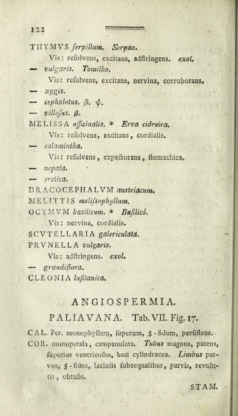 12Z T n Y M V S ferpillum, Serpao» Vis: refolvens, excitans, adftnngens. exoU — vulgaris, Tomitho, Vis: refolvens, excitans, nervina, corroborans, — zygis. — cephalotus, /3. ~ vUIg/us, 0, MELISSA opcinalis, * Erva cidreiva. Vis: refolvens, excitans, cordialis. —- calamintha. Vis: refolvens, expedorans, ftomachicaa — nepata, — cretica. D R A C O C E P H A L V M austriacum» M E LIT TIS meli/sophyllum, OCYMVM basilicum. * Bafdicd, Vis: nervina, cordialis. SevTELLARIA galericulalL PRVNELLA vulgaris. Vis: adikingens. exoU — grandi flor a. C L E O NIA lujitanica* ANGIOSPERMIA. p A LIA V A N A. Tab. VIL Fig. 17. CAL* Per, monophyllurn, fuperum, S-fidum, perfiflens. COR. rnonopetala, campanulata. Tubus magnus, patens, fuperiiis veritricofiis, basi cylindracea. Limbus par- vus,* 5-fidi.is, laciniis fiibaequalibus, parvis, revolu- tis, obtufis. STAM.