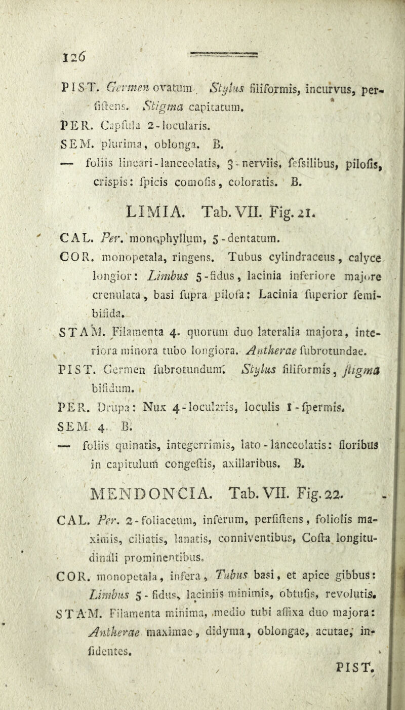 PI ST. Germen oxziiim ^ Stylus iiliformis, incurvus, per- iiftens. Stigma capicatiim. PER. Capfiila 2-locularis. SEM. plurima, oblonga. B. — foliis lineari-ianceolatis, 3^nerviis, fefsilibus, pilofis, crispis: fpicis comofis, coloratis. B. LIMIA. Tab.VII, Fig.2i. C A L. Fer, nionophylluni, S - dentatum, COR. moiiopetala, ringens. Tubus cylindraceus, calyce iongior: Limbus S-^^diis, lacinia inferiore majore creniilata, basi fupra pilofa: Lacinia fiiperior femi- bifida. STAM. Filamenta 4- quorum duo lateralia majora, inte- riora minora tubo longiora. Antherae fubrotundae. PIST. Germen fubrotundiini'. Stylus filiformis, bifidum. PER., Driipa: Nux 4-lociil2ris, loculis l-fperrnis. SEM. 4. b] — foliis qirinatis, integerrimis, lato • Ianceolatis: floribus in capitulum congefiis, axillaribus. B. MENDONCIA. Tab.VIL Fig.22. CAL. Per. 2-foiiaceuni, inferum, perfiftens, foliolis ma- ximis, ciliatis, lanatis, conniventibus, Cofta longitu- dinali prominentibus. COR. monopetala, infera, Tabm basi, et apice gibbus: Limbus 5 - fidus, laciniis minimis, obtufis, revolutis, STAM. Fiiaraenta minima,,medio tubi affixa duo majora: Antherae maximae, didyma, oblongae, acutae,' in- lidcntes. > PIST.