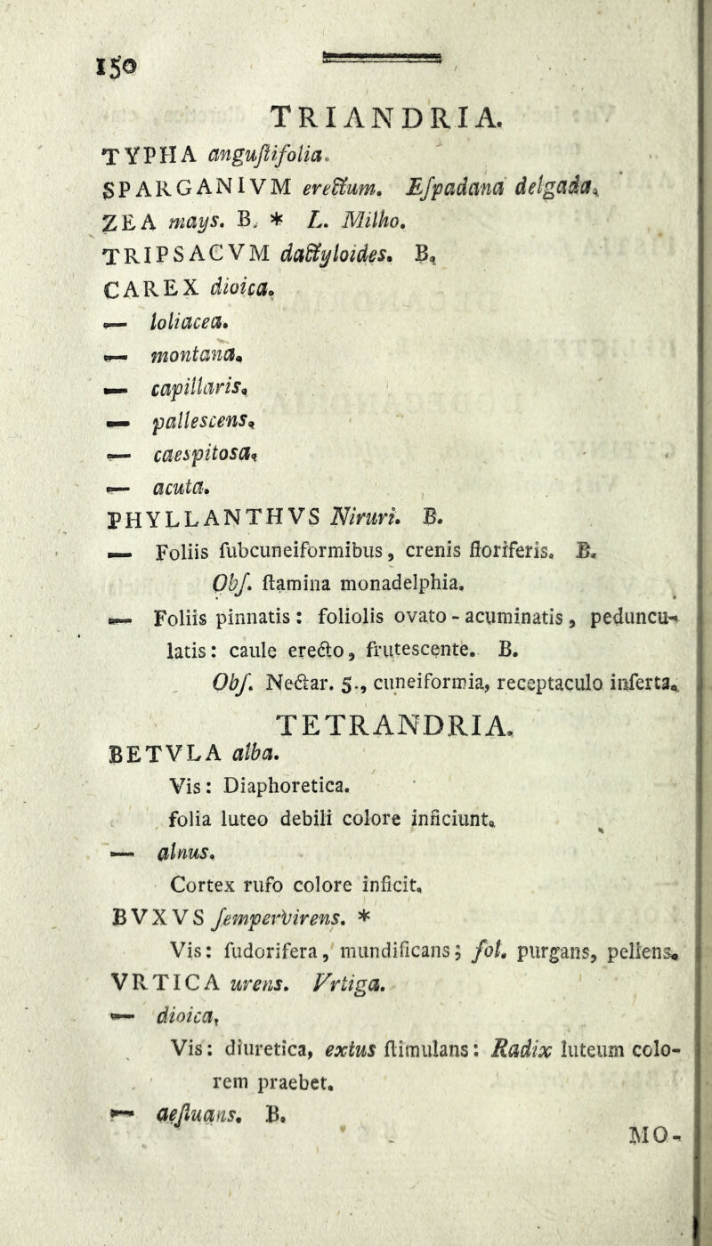 TYPHA angufiifolia. gPARGANlVM ertUum. Efyadand deigcida:^ ZEA mays, B, * L. Milho. TRIPSACVM dadlyloides. CAREX dioica. loliuce{^» montan(39 •— cafilltwSi» pallescens^ ~ caespitosa^ ^ acuta. PHYLLANTHVS Niruri. B. — Foliis fubcuneiformibus, crenis floriferis, B. QbJ. flamina monadelphia, fe— Foliis pinnatis: foliolis ovato - acuminatis, peduncu-^ latis: caule eredo, frutescente, B. Obf. Nedtar, 5., cuneiformia, receptaculo inferta,. TETRANDRIA, BETVLA atba. Vis: Diaphoretica. folia luteo debili colore inflciiint^ —- aliius. Cortex rufo colore inficit, B V X V S femperbirens, * Vis: fudorifera, miindificans, foL purgansj pellens, VRTICA urens. Vrtiga. ^ dioica^ Vis; diuretica, extus flimulans: Radix luteum colo- rem praebet, r- aejlums. B# MQ-
