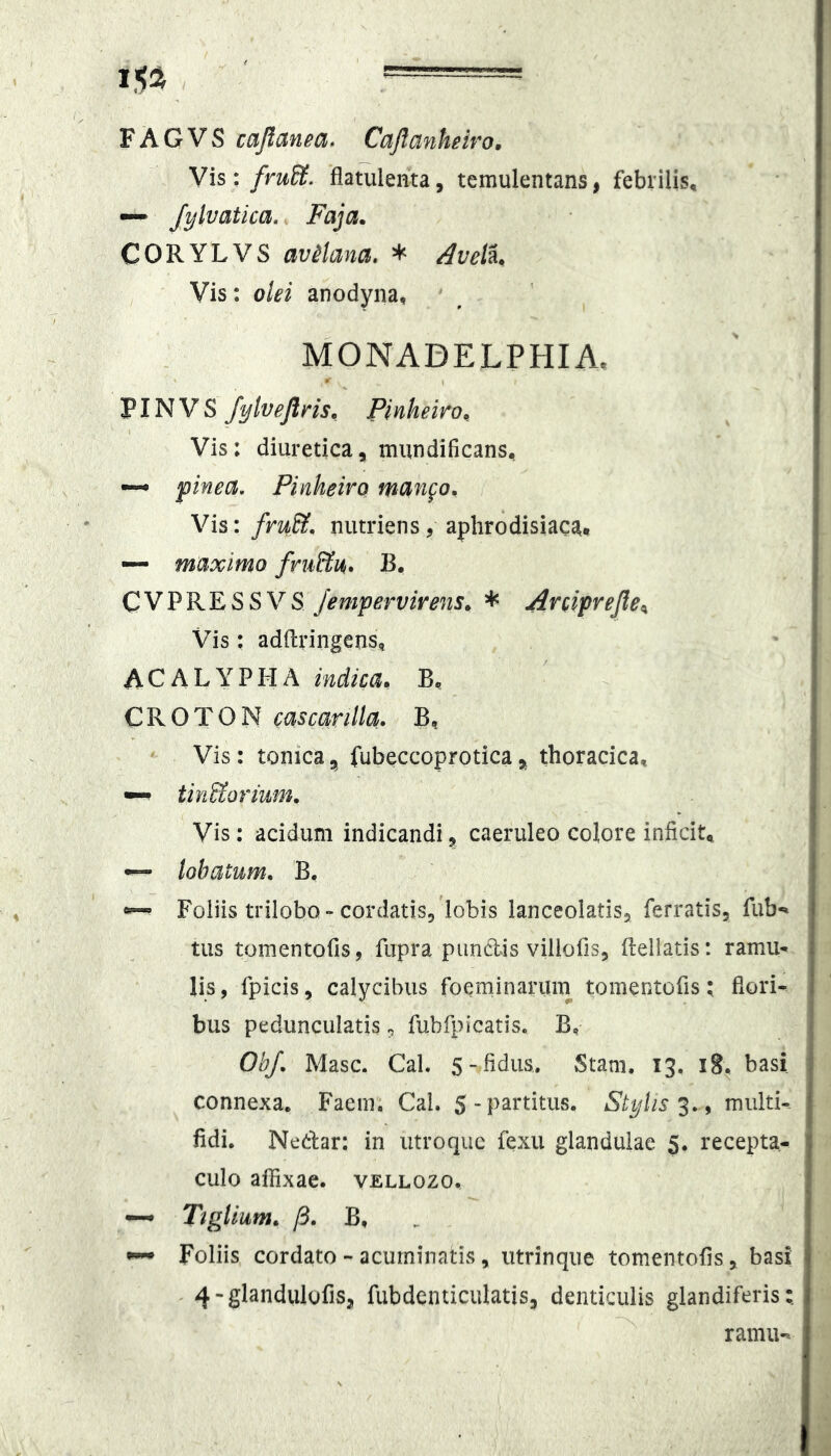 Vis: fruSt. flatulenta, temulentans, febrilis, — Jylvatica. Faja. CORYLVS avilana. * /4vett Vis: olei anodyna, MONADELPHIA. PIN V s fylvejlns, Pinheiro, Vis: diuretica, mundificans, ~ pinea, Pinheiro mango^ Vis: fru&, nutriens, aphrodisiaca* ~ maximo fru&u,. B. CVPRESSVS Jempervirens» * Aniprefle^ Vis: adftringens, A C A L Y P H A indica* B, CROTON cascarilla. B, Vis: tonica, fubeccoprotica, thoracica, —• tinltormm. Vis: acidum indicandi, caeruleo colore inficit, — lobatum, B.  Foliis trilobo-cordatis,'lobis lanceolatis, ferratis, fub-» tus tomentofis, fupra piindl^s villofis, (leliatis: ramu- lis, fpicis, calycibus foeminaruin tomentofis; fiori- bus pedunculatis, fubfpicatis. B, ObJ. Masc. CaL 5-fidus,, Stam, 13, 18, basi connexa. Faem. Cal. S-P^rti^tis, Stylis multi-- fidi. Nedar: in utroque fexu glandulae 5. recepta- culo affixae, vellozo. ~ Ttglium. y3. B, ^ Foliis cordato - acuminatis, iitrinque tomentofis, basi ' 4-glandulofis, fubdenticulatis, denticulis glandiferis; ramu-