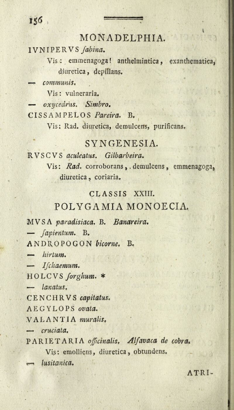 15<5 r MONADELPHIA. IVNIPERVS‘/al)/M. Vis ; ^ emmenagoga! anthelmintica, exanthematica, diuretica, depillans. — communis. Vis: vulneraria. — oxycedrus, Simbro. CISSAMPELOS Pareira. B. Vis: Rad. diuretica, demulcens,'purificans. SYNGENESIA. R V S C V S aculeatus. Gilbarbeira. Vis: Rad. corroborans,. demulcens, emmenagoga, diuretica, coriaria. CLASSIS XXIIL POLYGAMIA MONOECIA. MVSA paradisiaca. B. Banareira. — fapientum. B. ANDROPOGON t>korne. B. — hirtum. — IJchaemum. HOLCVS forghum. * — lanatus. CENCHRVS capitatus. AEGYLOPS ovata. V ALANT IA muralis^ — cruciata. PARIETARIA ojficinalis, Alfavaca de cobrae Vis: emolliens, diuretica, obtundens. lusitanica. ATRI- V