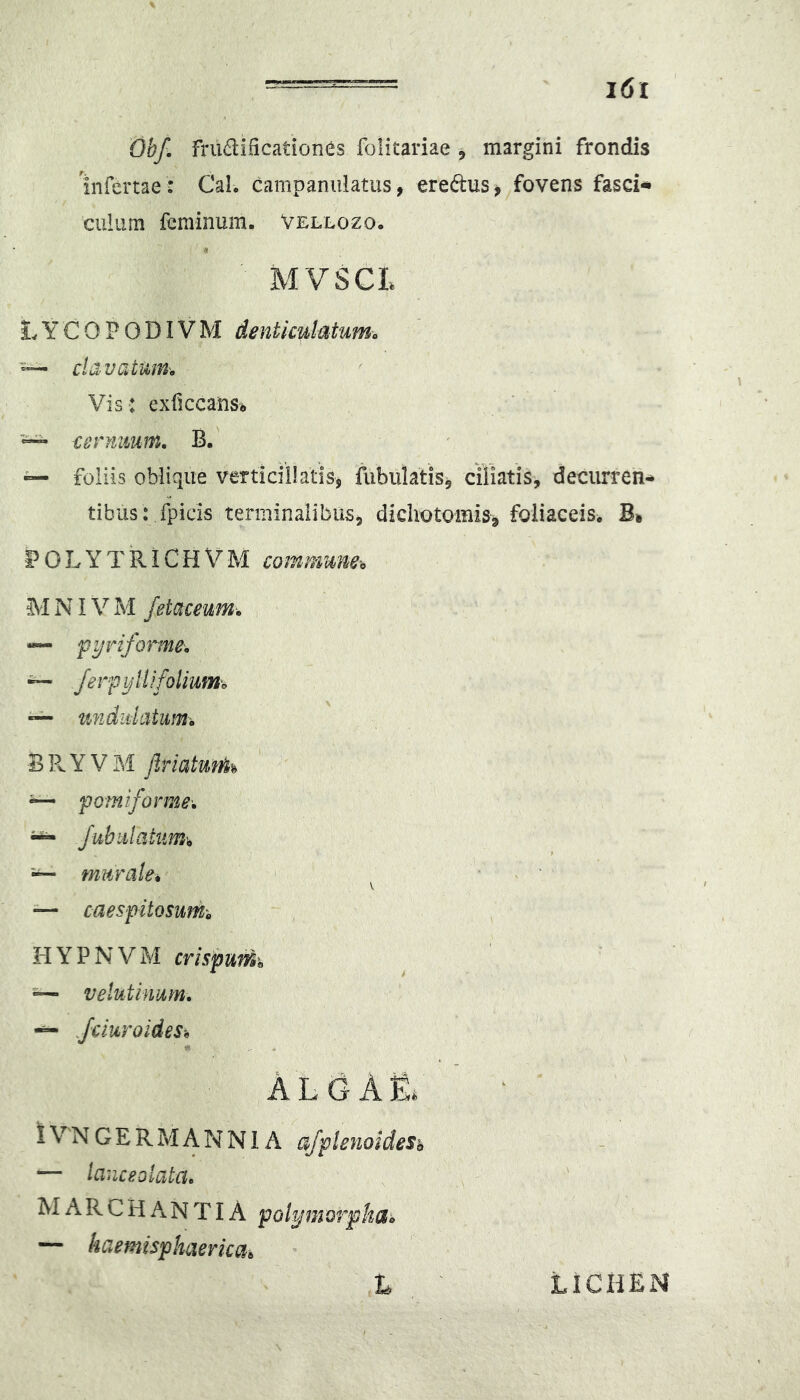 Obf. fm^lificationes folitariae , margini frondis infertae : Cal. campaniilatus, ere(3:us> fovens fascia culum feminum. Vellozo. MVSCL LYCOPODIVM denticulatum^ ™ clavatum. Vis: exficcanso ■— cenmum, B. — foliis oblique verti cillatis, fubulatiSj ciliatis, decurren- tibus: fpicis terminalibus, dichotomiSj foliaceis. B* 1?0LYTRICHVM commuMo MNIVM fetaceum. “ fyriforme. , ~ ijliifolmn. — VMdulatum-o BRYVM flnatun&^ “ fomiforme'. ^ Jubulatum^ murale* ^ — caespitosumi H Y P N V M crispum — velutinum. — Jciuroides* ' m , * ALGAfi; lV'NGERMANNlA a/ftenoideSh — lanceoiata» RIARCHANTIA pol^niotphdi — haemisphaerkai L LICHEN