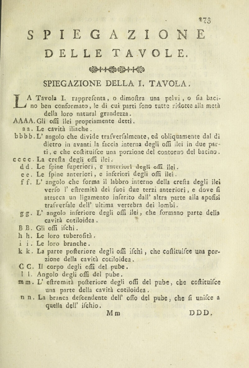 SPIEGAZION DELLE TAVOLE. *23 E «sh-h*«w»h» SPIEGAZIONE DELLA I. TAVOLA. LA Tavola I. rapprefenta, o dimoilra una pelvi , o ila baci- no ben conformato, le di cui parti fono tutto ridotte alla metà della loro naturai grandezza » AAAA. Gli offi ilei propriamente detti, a a . Le cavità iliache . bbbb.L’ angolo che divide trafverfalmente, ed obliquamente dal dì dietro in avanti la faccia interna degli olii ilei in due par- ti , e che coiìituifce una porzione del contorno del bacino, cccc.La creda degli olii ilei d d. Le fpine fuperiorì, e anteriurì degli odi ilei. e e. Le fpine anteriori, e inferiori degli offi ilei. f f. L5 angolo che forma il labbro interno della creda degli ilei verfo T efkemità dei fuoi due terzi anteriori, e dove fi attacca un ligamento inferito dall’ altra parte alla apofisi trafver l'ale dell5 ultima vertebra dei lombi, gg. V angolo inferiore degli offi ilei? che formano parte della cavità cotiloidea . B B. Gli ofli ifchi. h h. Le loro tuberoikà , i i. Le loro branche. k k. La parte pofteriore degli offi ifchi , die Cofiituifse UM por- zione della cavità cotiloidea. C C. Il corpo degli offi del pube. 1 1. Angolo degli offi del pube. cam. L5 eftremità pofteriore degli offi del pube, che coftituifce una parte della cavità cotiloidea . n n . La branca defeendente dell5 olio del pube ? che il unifee a quella dell’ ifchio. Mm DDD.
