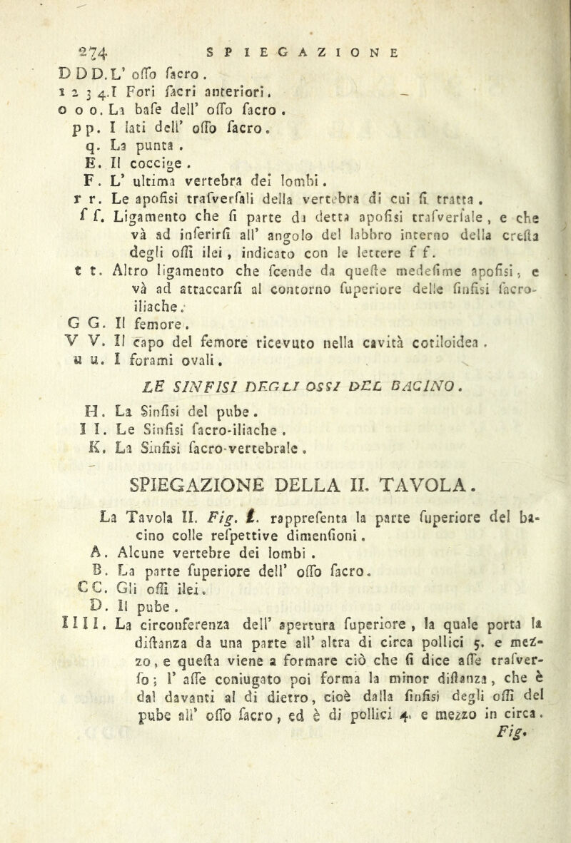 *2 74 5 P IEGAZIONE DDD.L’ offe facro . 123 4.1 Fori Acri anteriori. - © o o.Li bale dell’ offo facro . pp. I iati deli* offo facro. q. La punta . E. II coccige . F. L* ultima vertebra dei lombi. r r. Le apofisi trafverfali della vertebra di cui (I tratta, f f. Ligamento che fi parte di detta apofisi crafverlale , e che và ad inferirli all* angolo del labbro interno delia creda degli olii ilei , indicato con le lettere f f. t t. Altro ligamento che fcénde da quelle medefime apofisi , e và ad attaccarli al contorno fuperiore delle finfisi lacro- iliache ; G G. Il femore. V V. Il capo del femore ricevuto nella cavità cotiloidea . a u. I forami ovali. LE SINFISI DEGLI 059/ DEL BACINO . H. La Sinfisi del pube. 1 I. Le Sinfisi facro-iliache . K. La Sinfisi facro vertebrale » SPIEGAZIONE DELLA IL TAVOLA. La Tavola IL Ftg. i. rapprefenta la parte fuperiore del ba- cino colle refpettive dimenfioni. A. Alcune vertebre dei lombi . B. La parte fuperiore dell* odo facro. CC. Gli olii ilei. D. li pube . 11 II. La circonferenza deli’ apertura fuperiore , la quale porta la difianza da una parte all* altra di circa pollici 5. e mez- zo, e quella viene a formare ciò che fi dice alfe trafver- fo ; P alfe coniugato poi forma la minor difianza, che è dal davanti al di dietro, cioè dalla finfisi degli efiì del pube all* offo facro, ed è di pollici 4, e mezzo in circa. Fig*