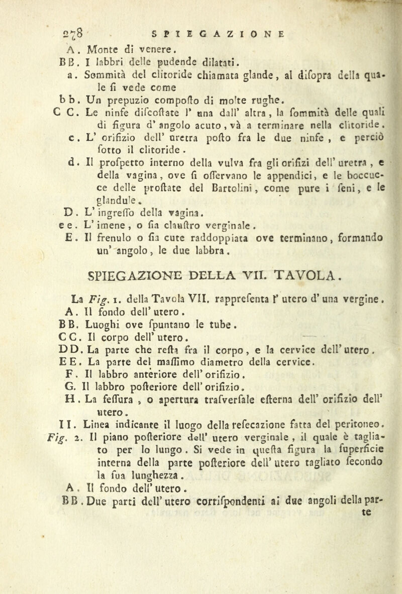 A. Monte di venere. BB. I labbri delle pudende dilatati, a. Sommità del clitoride chiamata glande, al difopra della qua- le fi vede come bb. Un prepuzio compofio di molte rughe. C C. Le ninfe difcofiate 1* una dall* altra, la fommita delle quali di figura d’angolo acuto , và a terminare nella clitoride, e. L’ orifizio dell* uretra pollo fra le due ninfe , e perciò fono il clitoride . d. Il profpetto interno della vulva fra gli orifizi dell’uretra, e della vagina, ove fi ofiervano le appendici, e le boccuc- ce delle predate del Bartolinì, come pure i feni, e le glandule, D. L’ingrelTo della vagina, ee. L’imene, o fia clauftro verginale. E . Il frenulo o fia cute raddoppiata ove terminano, formando un’ angolo, le due labbra. SPIEGAZIONE DELLA VII. TAVOLA. La Fìg. i. della Tavola VII. rapprefenta Y utero d’ una vergine . A . Il fondo dell* utero . BB. Luoghi ove fpuntano le tube. C C. Il corpo dell’ utero. DD.La parte che refh fra il corpo, e la cervice dell’utero. E E. La parte del mafllmo diametro della cervice. F. II labbro anteriore dell’orifizio. G. Il labbro pofteriore dell’orifizio» H. La feflura , o apertura trafverfale edema dell’ orifizio dell’ utero. II. Linea indicante il luogo della refecazione fatta del peritoneo. Fìg. 2. Il piano pofteriore dell' utero verginale , il quale è taglia- to per lo lungo . Si vede in quella figura la fuperficie interna della parte pofteriore dell’ utero tagliato fecondo la fua lunghezza. A , Il fondo dell’ utero . BB.Due parti dell’utero corrifpondenti ai due angoli della par- te