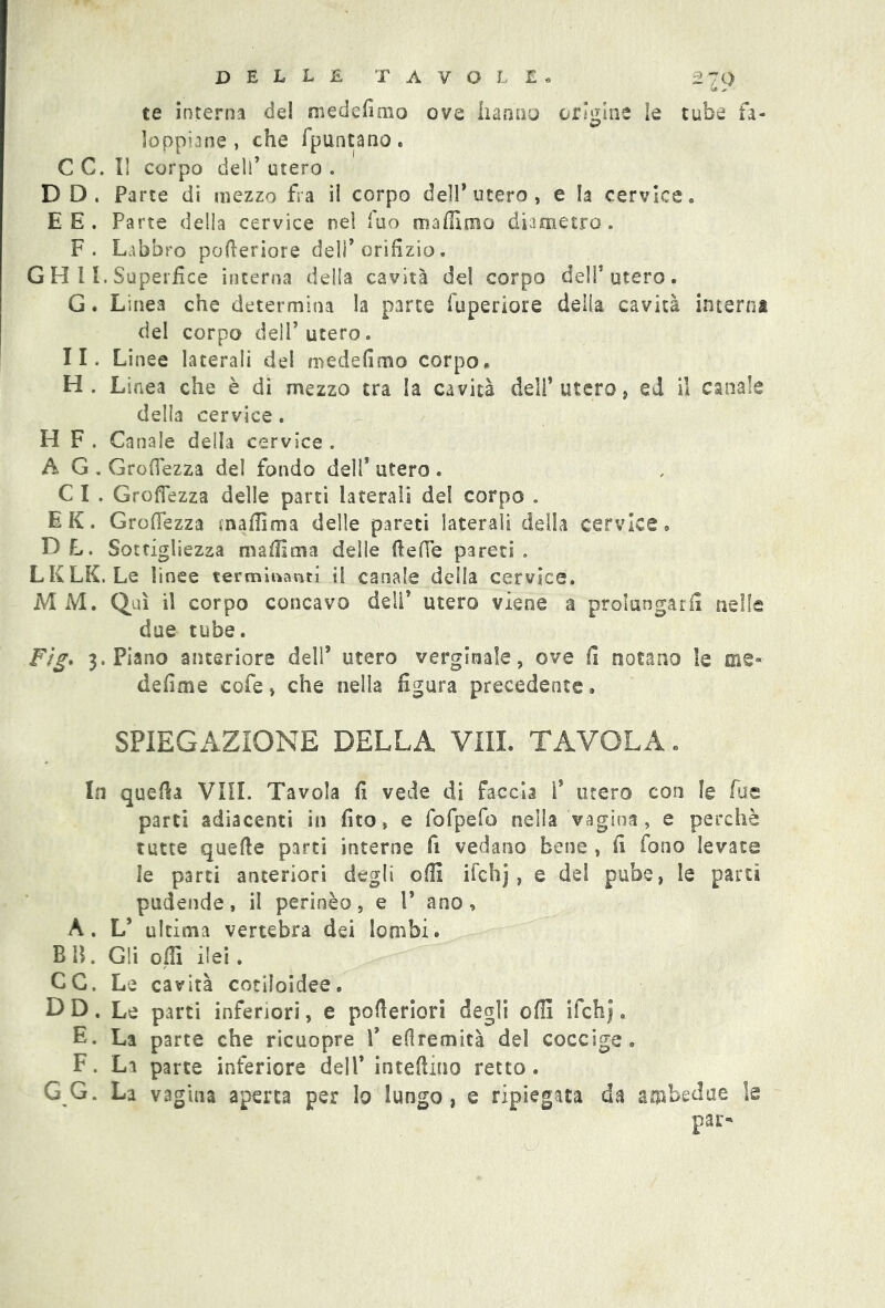 D E L L £ TAVOLE* %fp te interna del medefimo ove hanno origine le tube fa- loppiane , che fpuntano. CC. I! corpo dell’utero. D D. Parte di mezzo fra il corpo dell’utero, e la cervice. E E . Parte della cervice nel fuo mafilmo diametro . F. Labbro pofteriore deli’ orifìzio. G H 11. Superfice interna della cavità del corpo dell’utero. G. Linea che determina la parte fuperiore della cavità interna del corpo dell’ utero. II. Linee laterali del medefimo corpo. H. Linea che è di mezzo tra la cavità deli’ utero, ed il canale della cervice . H F . Canale della cervice . A G . Grò (fez za del fondo dell* utero . CI . Grofìezza delle parti laterali del corpo . EK. GrofTezza inaflìma delle pareti laterali della cervice. DL. Sottigliezza ma (lì ma delle (lede pareti. LKLK. Le linee terminanti il canale della cervice. M M. Qui il corpo concavo dell’ utero viene a prolungarli nelle due tube. Fig* 3. Piano anteriore dell’ utero verginale, ove fi notano le me» defime cofe, che nella figura precedente. SPIEGAZIONE DELLA Vili. TAVOLA. In quella Vili. Tavola fi vede di faccia 1’ utero con le fu e parti adiacenti in fito, e fofpefo nella vagina, e perchè tutte quelle parti interne fi vedano bene , fi fono levate le parti anteriori degli olii ilchj, e del pube, le parti pudende, il perinèo, e 1* ano, A. L* ultima vertebra dei lombi. B B. Gli olii ilei. CC. Le cavità cotiloidee. D D. Le parti inferiori, e pofieriori degli offi ifchj. E. La parte che ricuopre V eflremità del coccige. F. Li parte inferiore dell* interino retto. GG. La vagina aperta per lo lungo, e ripiegata da ambedue le par*