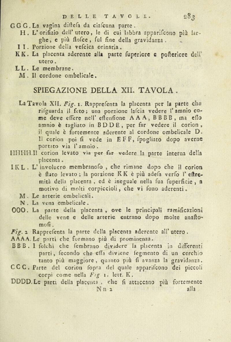 G G G . La vagina difiefa da ciafcuna parte. H. L’orifizio dell’utero, le di cui labbra apparifcono più lar- ghe , e più fiofce , fui fine della gravidanza . I I . Porzione della vefcica orinaria. KK. La placenta aderente alla parte fuperiore e pofierlcre dell5 utero . L L . Le membrane. M. Il cordone ombelicale. SPIEGAZIONE DELLA XII. TAVOLA « La Tavola XII. Fig. 1. Rapprefenta la placenta per la parte che rifguarda il feto; una porzione lafcia vedere f amnio co- me deve effere nell* efienfione AA A, BBBB, ma elio amnio è tagliato in BODE, per far vedere il corion „ il quale è fortemente aderente a! cordone ombelicale D» lì corion poi fi vede in EFF, fpogliato dopo averne portato via V amnio. HHHH.I1 corion levato via per far vedere la parte interna della placenta * IKL. L’involucro membranofo che rimane dopo che il corion è fiato levato; la porzione KK è più adefa verfo 1* e fi re- ni ita della placenta , ed è ineguale nella fua fuperficie , a motivo di molti corpiccioli, che vi fono aderenti. M. Le arterie ombelicali. N. La vena ombelicale. 000. La parte della placenta, ove le principali ramificazioni delle vene e delle arterie entrano dopo molte anafto« mofi. Fig. 2 Rapprefenta la parte della placenta aderente alì’ utero. AAAÀ. Le pirti che formano più di prominenza. BBB. 1 fokhi che fembrano dividere la placenta in differenti parti, fecondo che efia diviene fegmento di un cerchio tanto più maggiore, quanto più fi avanza la gravidanza. CCC. Parte del corion fopra del quale apparifcono dei piccoli corpi come nella Fig 1. lett. K. DDDD.Le parti della placenta , che fi attaccano più fortemente Niu alla