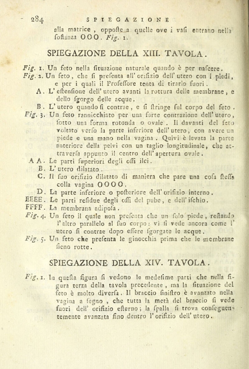 alla matrice , oppofìe a quelle ove i vafi entrano nella fofìanza OOO. Fig. 1. SPIEGAZIONE DELLA XIII. TAVOLA. Fig. 1, Un feto nella fituazione naturale quando è per nafcere. Ftg. 2, Un feto, che fi prefenta all’orifizio dell’utero con i piedi, e per i quali il Profefiore tenta di tirarlo fuori . A. L’ elle nfione dell* utero avanti la rottura delle membrane, e dello fgorgo delle acque. B . L’ utero quando fi contrae , e fi firinge fui corpo del feto . Fig. 3. Un feto rannicchiato per una forte contrazione dell’utero, lotto una forma rotonda o ovale . Il davanti del feto voltato verfo la parte inferiore dell’utero, con avere un piede e una mano nella vagina . Quivi è levata la parte anteriore della pelvi eoo un taglio longitudinale, che ac- t raver fa appunto il centro dell’apertura ovaie. À A. Le parti fuperiori degli ofiì ilei. B. L’ utero dilatato . C. lì {no orifizio dilatato di maniera che pare una cofa ftefla colla vagina 0 0 0 0. D. La parte inferiore o pofieriore dell’orifizio interno. EF.EE. Le parti refidue degli ofiì del pube, e dell’ifchio. FFFF. La membrana adipola . Fig. 4. Un feto il quale non prefenta che un fo!o piede , refiando ralerò parallelo al fuo corpo: vi fi vede ancora come V utero fi contrae dopo e (Ter e fgorgate le acque. Fig. y. Un feto che prefenta le ginocchia prima che le membrane fieno rotte. SPIEGAZIONE DELLA XIV. TAVOLA. Fig. i. In quella figura fi vedono le medefime parti che nella fi- gura terza della tavola precedente , ma la fituazione del feto è molto diverfa . I! braccio finiftro è avanzato nella vagina a legno , che tutta la metà del braccio fi vede fuori dell5 orifizio efterno ; la fpalla fi trova confeguen^ temente avanzata fino dentro l’orifizio dell’utero.