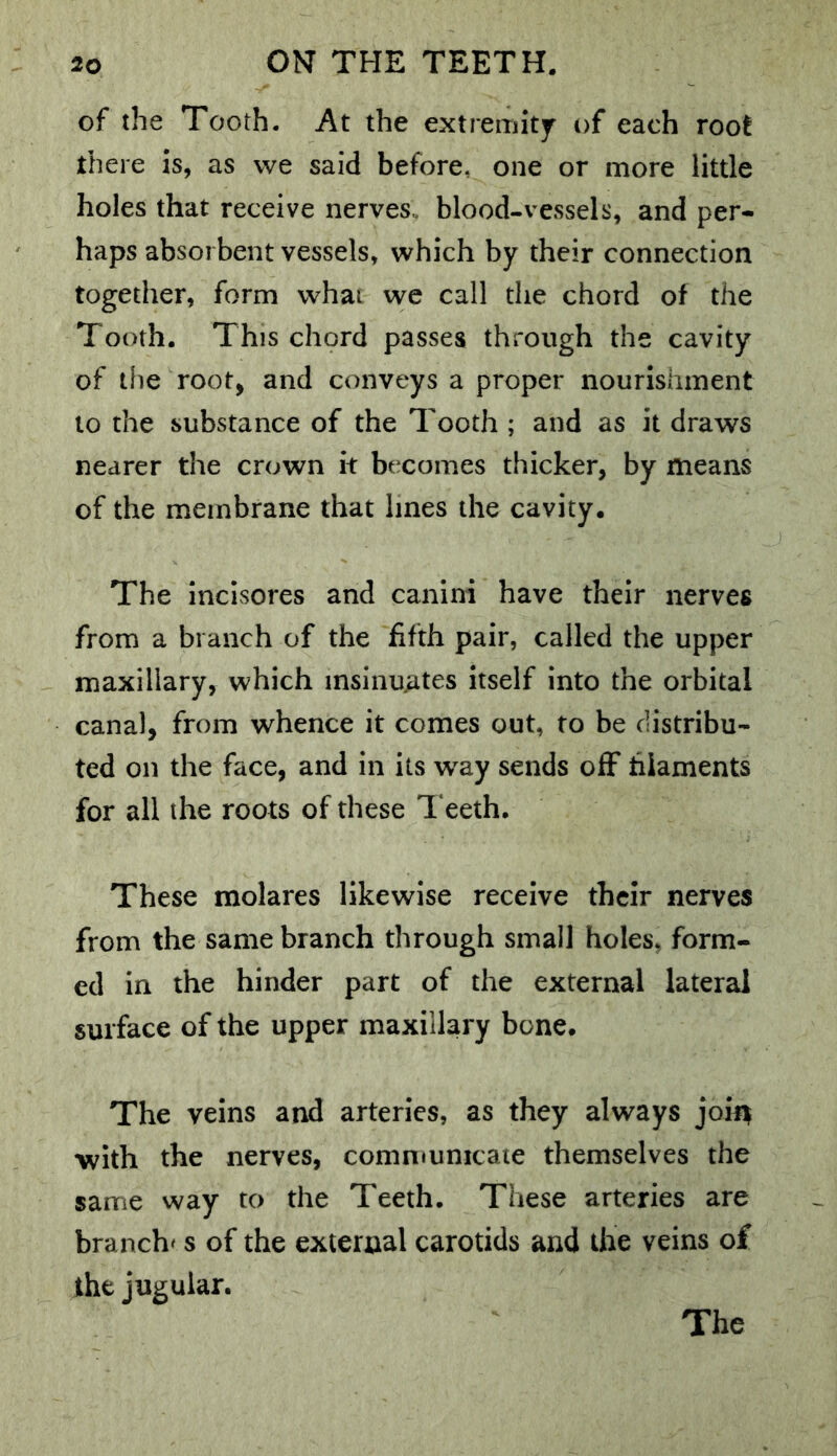 of the Tooth. At the extremity of each root there is, as vve said before, one or more little holes that receive nerves, blood-vessels, and per- haps absorbent vessels, which by their connection together, form what we call the chord of the Tooth. This chord passes through the cavity of the root, and conveys a proper nourishment to the substance of the Tooth ; and as it draws nearer the crown k becomes thicker, by means of the membrane that lines the cavity. The Inclsores and canini have their nerves from a branch of the fifth pair, called the upper maxillary, which insinuates itself into the orbital canal, from whence it comes out, to be distribu- ted on the face, and in its w^ay sends off hiaments for all the roots of these 1‘eeth. These molares likewise receive their nerves from the same branch through small holes, form- ed in the hinder part of the external lateral surface of the upper maxillary bone. The veins and arteries, as they always joift with the nerves, communicaie themselves the same way to the Teeth. These arteries are branch's of the external carotids and the veins of the jugular. The