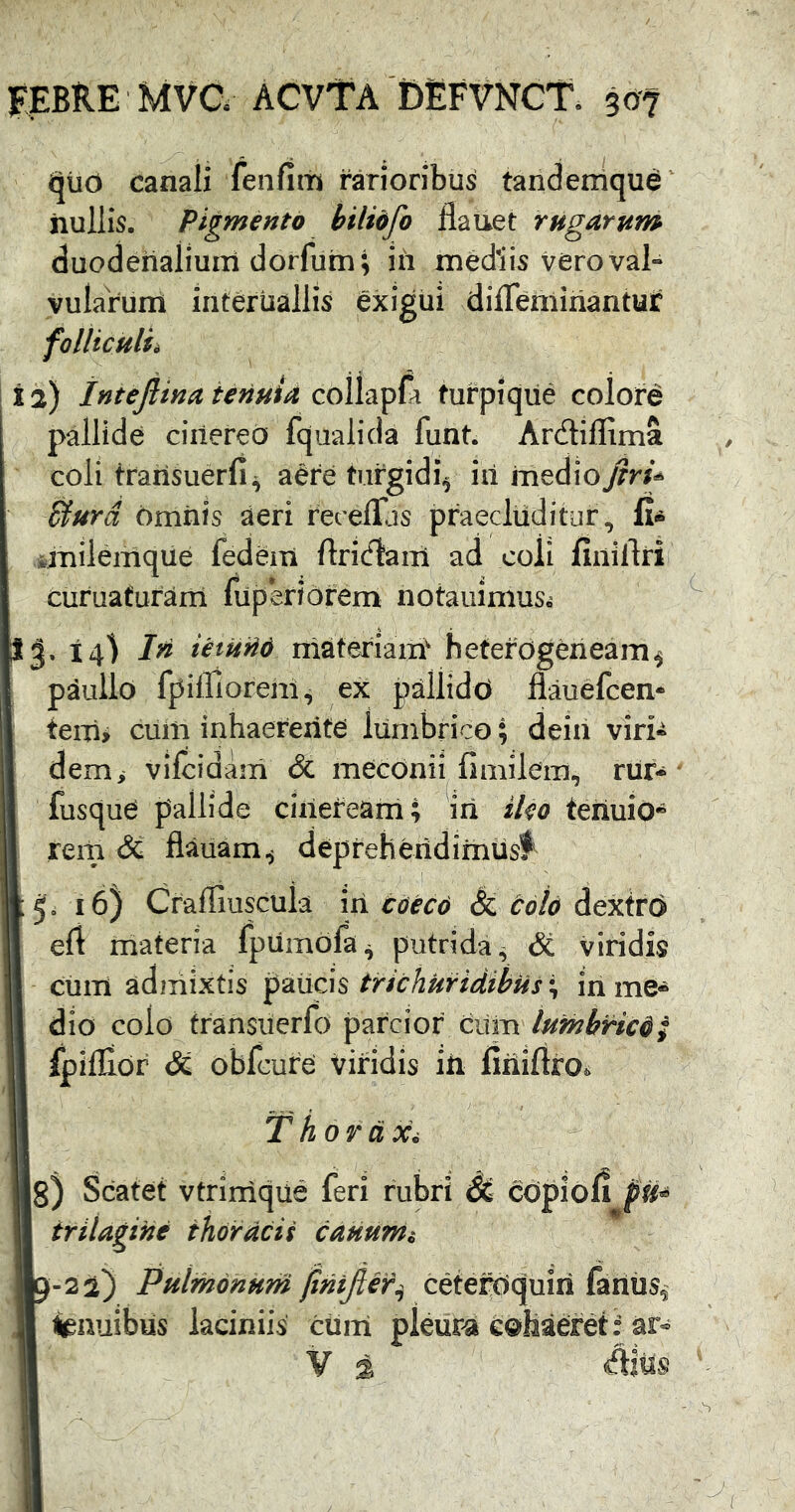 qiiO canali fenfim rarioribus tandemque' nullis, pigmento bilidfo flauet rugarunt duodehaliurri dorfum; ih mediis vero vai« vularum interuallis exigui diffenliriantur folliculi 12) Intefiina ienuU fufpiqile colore pallide ciilered fqiialida funt. Ardiffima coli trarisuerfi^ aere turgidi^ iilmedioyrri^ &urd omiiis aeri recelTjs praecluditur, fi* ^milemqiie fedem ftricflam ad coli fiiiiftri curuafuram fiiperiorem notauimus^ 1^. In letiiM materiam' hetefogeneam^ paullo fpiirioreni, ex pallidd flauefcem teiTi> cuiii inhaererite lumbrico; deia viri» dem> vifcidam & meconii fimilera, rilr- fusque pallide cineream ; iri iUo teriuio* Irem & flauam^ depreheridimusf 5. 16) Craffiuscula iri tO€C6 & colo dextro eft materia fpumdfa^ putrida^ <5c viridis cum admixtis trichUridibus^^ in me* dio colo transiierfd parcior ciim lumbrici fpiflldr & obfcure viridis iri firiiftro. T hora Xi 8) Scatet vtrinique feri rubri & cdpioli pU^ triiagine thoirdcii cauumi 9-22) pHlmdhHm jimjier^ ceterilquiri fiirius^' 1 tenuibus laciniis ctim pleur4 eofeaerd: ar« Y % diris