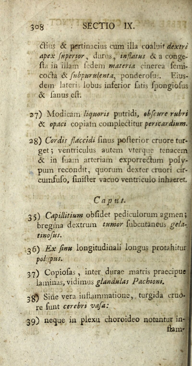 dius & pertinacias cum ilia coalaif dextri apex/ftperjor ^ dar‘is, tnflatus & a conge- fla in iilam ledeni materia cinerea femi- coc1:'a & fubpnrfilenta^ ponderoEi . Eius- dem lateri lobus inferior fatis fpongiofus & fanus efl. 37) Modicam Ucjitoris putridi, ohfcure rubri & opaci copiain coiiipleclitur pericardium. ; 28) Cordis flaccidi finus pofterior cruore tur- get; ventriculus autem vterqiic tenacem & in fuam arteriam exporreclum poly- pum recondit, quorum dexter cruori cir- cumfufo, flnifler vacuo ventriculo inhaeret. Caput. 35) Capillitium pediculorum agmen; bregma dextrum tumor fubcutaneus gela^ tinofus. 36) finu longitudinali longus protahitur pol :pus. 37) Copiofas, inter, durae matris praecipue * . laminas, vidimus Pachtoni. < 3^ Sine vera infiainmatione,. turgida cruo- re funt cerebri vafa: 39) ne(jue in plexu choroideo notantur in- J flam-'