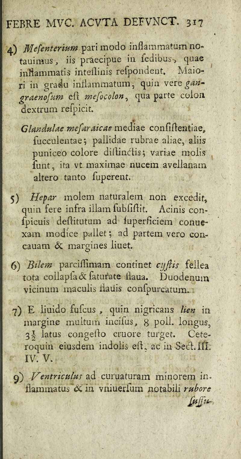 4) Mefentermm pari modo inflammatum no« tauimus, iis praecipue in iedibiiS“> cjuae inflammatis intellinis refpbiideot* Maio- ri in gradu inflammatum, quin vere gan- graenofnm eft mefQColon^ qua parte coioii dextrum refpicit. Glandulae mefaraicae mediae confiftentlae^ fucculentae; pallidae rubxme aliae, aliis puniceo colore dflflnctis; variae molis' funt, ita vt. maximae nucem avellanam altero tanto fuperent. 5) Hepar molem naturalem non excedit^ quin fere infra illam fubfiftit. Acinis con- fpicuis deflitutum ad iuperficiem conue- xam modice pallet; ad partem vero con- cauam & margines liuet. 6) Bilem parcjflimam continet cyjlis fellea tota collapia&faturate flaua. Duodenum vicinum maculis iiaiiis confpurcatum. 7) E liuido fufcus , quin nigricans lien m margine multum incifus, g poli, longus, 3| latus congeflo cruore turget. Cete- roquin eiusdem indolis eft., ac in Sedi.Ut IV. V. yentricttlus ad curuaturam minorem in- flammatus & in vniuerfum not^hiYi rubore