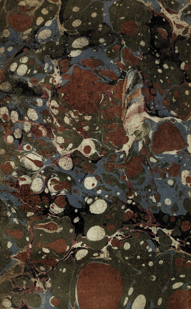 digitised image 2