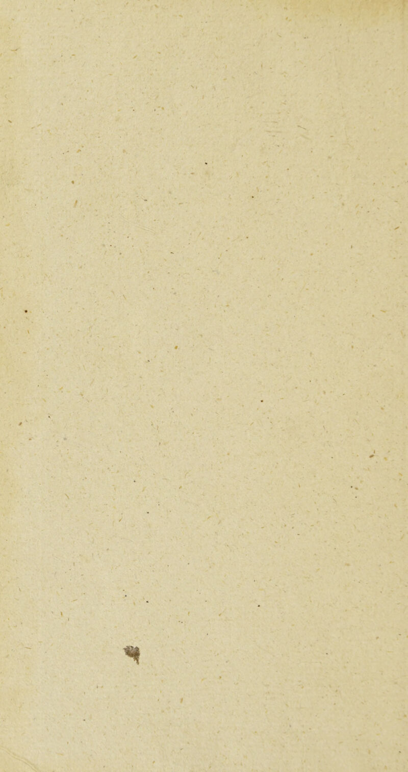 ✓ ^ • I H » . ‘ / / ' 4 * 1 ) / I *