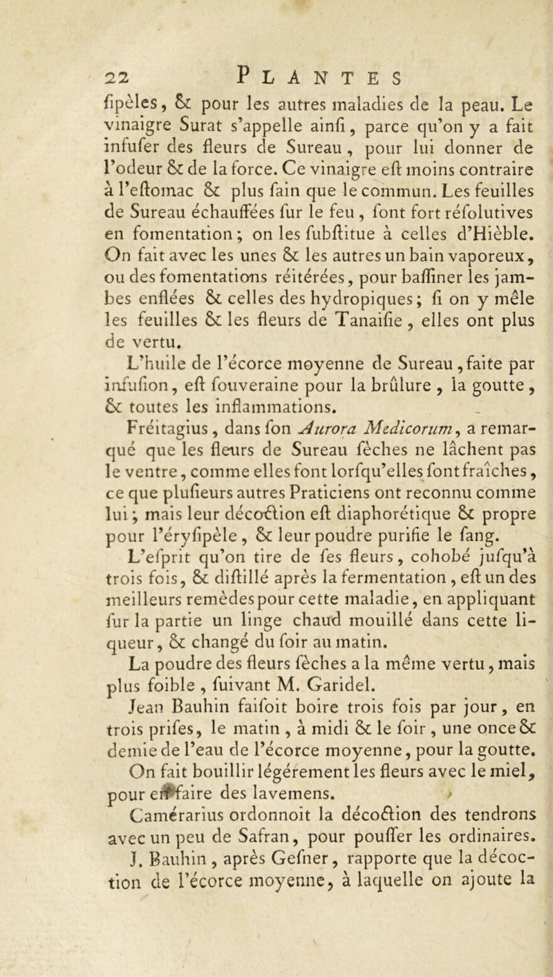 flpèles, Sc pour les autres maladies de la peau. Le vinaigre Surat s’appelle ainft, parce qu’on y a fait infufer des fleurs de Sureau , pour lui donner de l’odeur & de la force. Ce vinaigre eft moins contraire à l’eftomac 8c plus fain que le commun. Les feuilles de Sureau échauffées fur le feu , font fort réfolutives en fomentation ; on les fubftitue à celles d’Hièble. On fait avec les unes 8c les autres un bain vaporeux, ou des fomentations réitérées, pour bafliner les jam- bes enflées 8c celles des hydropiques; fl on y mêle les feuilles 8c les fleurs de Tanaifle , elles ont plus de vertu. L’huile de l’écorce moyenne de Sureau , faite par iniuflon, eft fouveraine pour la brûlure , la goutte , 8c toutes les inflammations. Fréitagius, dans fon Aurora Mcdicorum, a remar- qué que les fleurs de Sureau fèches ne lâchent pas le ventre, comme elles font lorfqu’elles font fraîches, ce que plufieurs autres Praticiens ont reconnu comme lui ; mais leur déco-élion eft diaphonique 8c propre pour l’éryfipèle, 8c leur poudre purifie le fang. L’efprit qu’on tire de fes fleurs, cohobé jufqu’à trois fois, 8c diftillé après la fermentation , eft un des meilleurs remèdes pour cette maladie, en appliquant fur la partie un linge chaud mouillé dans cette li- queur, 8c changé du foir au matin. La poudre des fleurs fèches a la même vertu, mais plus foible , fuivant M. Garidel. Jean Bauhin faifoit boire trois fois par jour, en trois prifes, le matin , à midi 8c le foir, une once&C demie de l’eau de l’écorce moyenne, pour la goutte. On fait bouillir légèrement les fleurs avec le miel, pour e#faire des lavemens. * Gamérarius ordonnoit la décoélion des tendrons avec un peu de Safran, pour pouffer les ordinaires. J. Bauhin , après Gefiier, rapporte que la décoc- tion de l’écorce moyenne, à laquelle on ajoute la