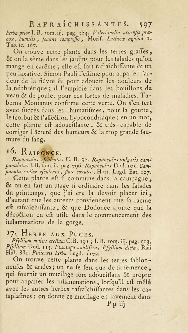 htrba prior I. B. tom. iij. pag. 324. Vulerianellu arvenfls præ- cox, humilis 3 femine compreffo 3 Morif. Latine cz agnina I* Tab. ic. 167. On trouve cette plante clans les terres graftes, & on la sème clans les jardins pour les falades qu’on mange en carême ; elle eft fort rafraîchiftante & un peu laxative. Simon Pauli i’eflime pour appaifer Par- deur de la fièvre & pour adoucir les douleurs de la néphrétique ; il l’emploie clans les boudions de veau & de poulet pour ces fortes de maladies. Ta- berna Montanus confirme cette vertu. On s’en fert avec fuccès dans les rhumatifmes, pour la goutte, le fcorbut & Pafteéiion hypocondriaque : en un mot, cette plante eft adouciftante , 6e très-capable de corriger Pâcreté des humeurs & la trop grande fau- mure du fang. *6. Raiponce. Rapunculus efculentus C. B. 92. Rapunculus vulgarîs cam- panulatus I.B.tom. ij. pag. 796. Rapunculus Dod. 105. Cam.- panula radice efculentâ, flore cœruleo3 H >rt. Lugd. Bat. 107. Cette plante eft ft commune dans la campagne, & on en fait un ufage ft ordinaire dans les falades du printemps, que j’ai cru la devoir placer ici, d’autant que les auteurs conviennent que fa racine eft rafraîchiftante, & que Dodonée ajoute que la décoélion en eft utile dans le commencement des inflammations de la gorge. l7• Herbe aux Puces. Pfyllium majus ereEtum C.B. 191 ; I. B. tom. iij. pag. ^13» PfyIlium Dod. 115. Plantago caulifera3 Pfyllium dicta 3 Raii Hift. 831. Pulïcarïs herbu Lugd. 1172. On trouve cette plante dans les terres fabîon- neufes arides; on ne fe fert que de fa femence , qui fournit un mucilage fort adouciflant & propre pour appaifer les inflammations, lorfqu’il eft mêlé avec les autres herbes rafraichiftantes dans les ca- taplafmes ; on donne ce mucilage en lavement dans F P üj