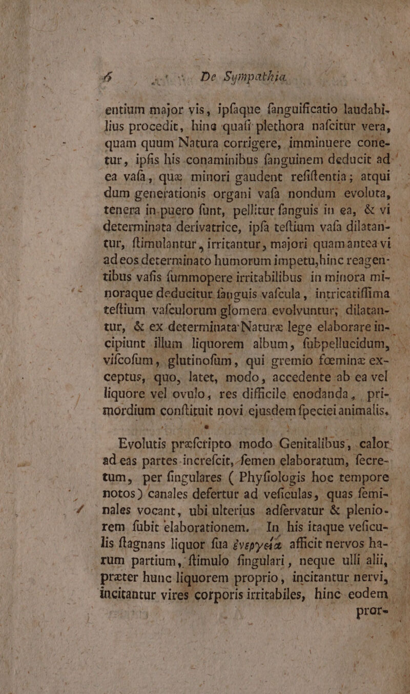 - * x lius procedit, hina quafi plechora nafcitur. vera, quam quum Natura corrigere, imminuere come- tur, ipfis his conaminibus fanguinem deducit ad^ ea vafa, que minori gaudent refiftentia; atqui dum generationis organi vafa nondum evoluta, / determinata derivatrice, ipfa teftium vafa dilatan- - cur, ftimulantur,, irritantur, majori quamantea vi adeos determinato humorum impetu,hinc reagen- viícofum ,. glutinofum, qui gremio foeminz ex- - ceptus, quo, latet, modo, accedente ab ea vel mordium conftituit novi. sippéeta fpeciei animalis, ^. '. ! Evolutis prafcripto modo bat calor. ad eás partes increfcit, femen elaboratum, fecre- tum, per finculares ( Phyfiologis hoe tempore. nales vocant, ubi ulterius adfervatur &amp; plenio- rem fübit elaborationem. . In his itaque veficu- rum partium, flimulo fi ngulari, neque ulli alii, corporis irritabiles, hinc eodem dr: pror. |