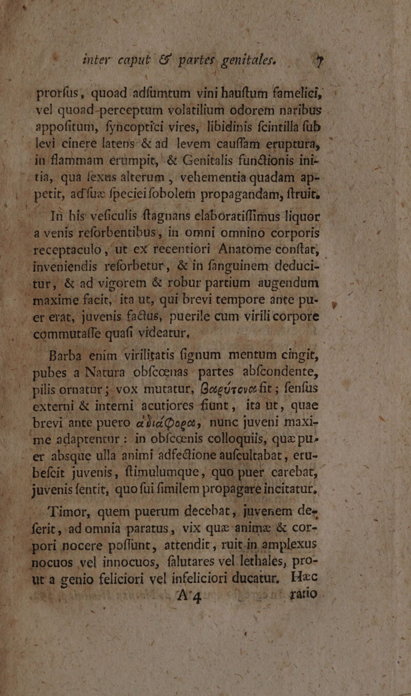 A CC appofitum, fyncoptici vires, libidinis fcintilla fub levi cinere latens- &amp; ad levem cauffam eruptura, uo ad fuz fpeciei foboleth propagandam, ftruit, -.a venis reforbentibus , in. omni omnino corporis -inveniendis reforbetur, &amp; in fanguinem deduci- E &amp; ad vigorem &amp; robur partium augendum 4] naxime fácit; ita ut, qui brevi tempore ante pu- . er erat, juvenis factus, puerile cum virili corpore . commutaffe. quafi |» videatur, —— | pubes a Natura obfcoenas partes abfcondente, externi &amp; interni acutiores fiunt, ita ut, quae brevi ante puero did Qugat , nunc juveni maxi- me adaptenrar : : jn obfccenis colloquiis, quz pu» befeit juvenis, ftimulumque, quo puer carebat, | A DU fentit, dh fai fi milem P. incitatur, ^ ferit, ad omnia ALRIIS; vix quz 4 animz p&amp; COr- pori nocere poflunt, attendit, ruit.in .amplexus .nocuos , vel innocuos, falutares vel. lethales, pro- wt a genio Cap a s infeliciori omg Hzc