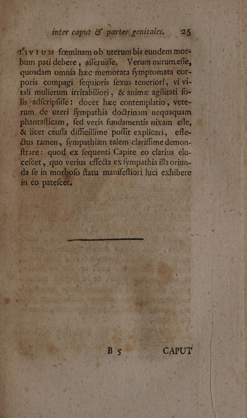 41vYUM foeminam ob uterum bis eundem mors bum pati debere, a(feruifle, ^ Verum mirum effe, quosdam omnia. kec memorata fymptomata. cor- poris compagi fequioris fexus teneriori, vi vi- lis -adfcripfile:: docet hec conteniplatio, vete- rum de uteri fympathia do&amp;rinam nequaquam flrare :. quod ex fequenti Capite eo clarius elu- t POUSSE ON CAPUT