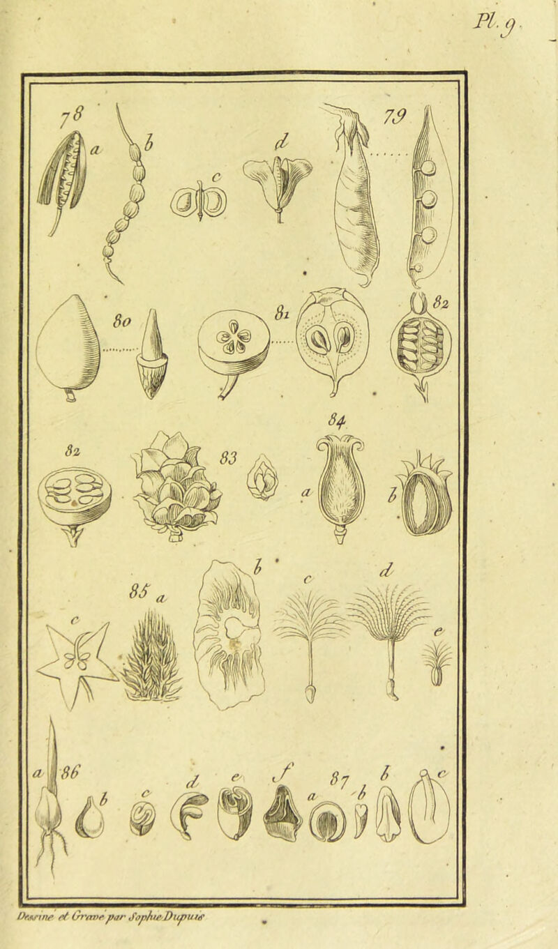 Onvine ef Orasr par Sophie^DupuM