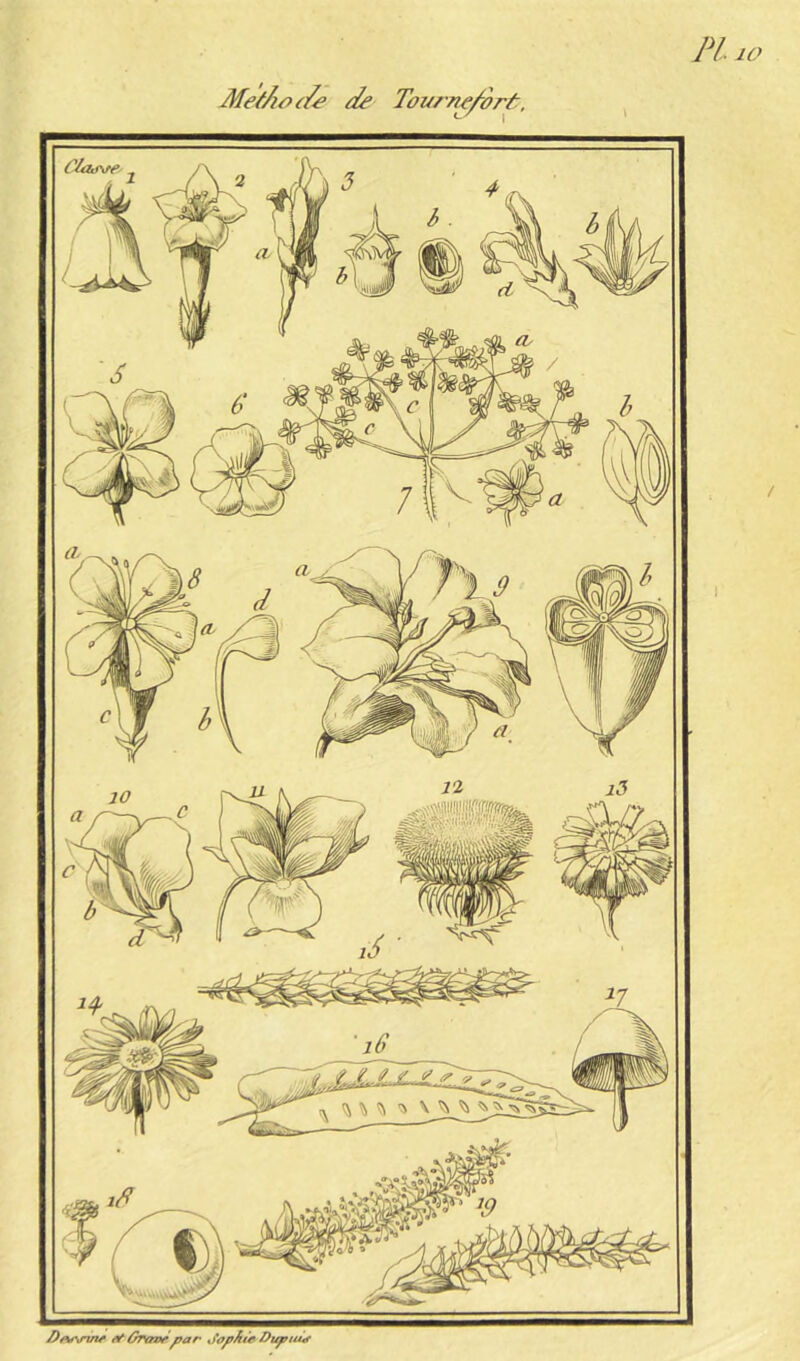 PI lO MefAof/^ de Tourne/ort. Dfiy\rin^ êtûraztdpar dapAie Duptua
