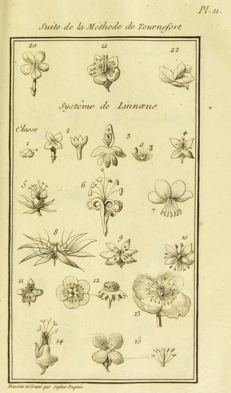 PL U, Suite Se la MetLiaSe^ de Tou?'n^rt De^rtftf ef (rrane Sophie Duput**'