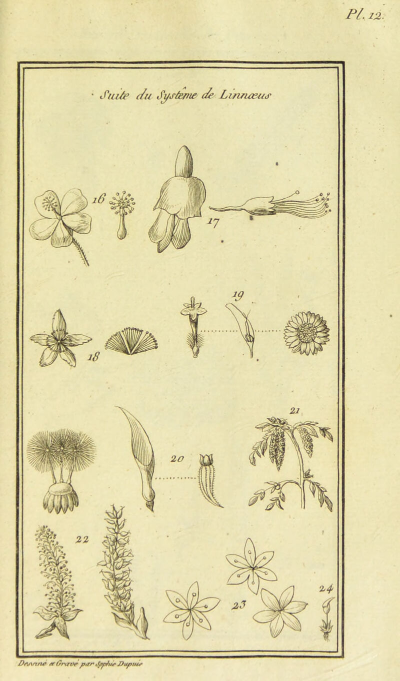 Dfif\nne par J)upu4^