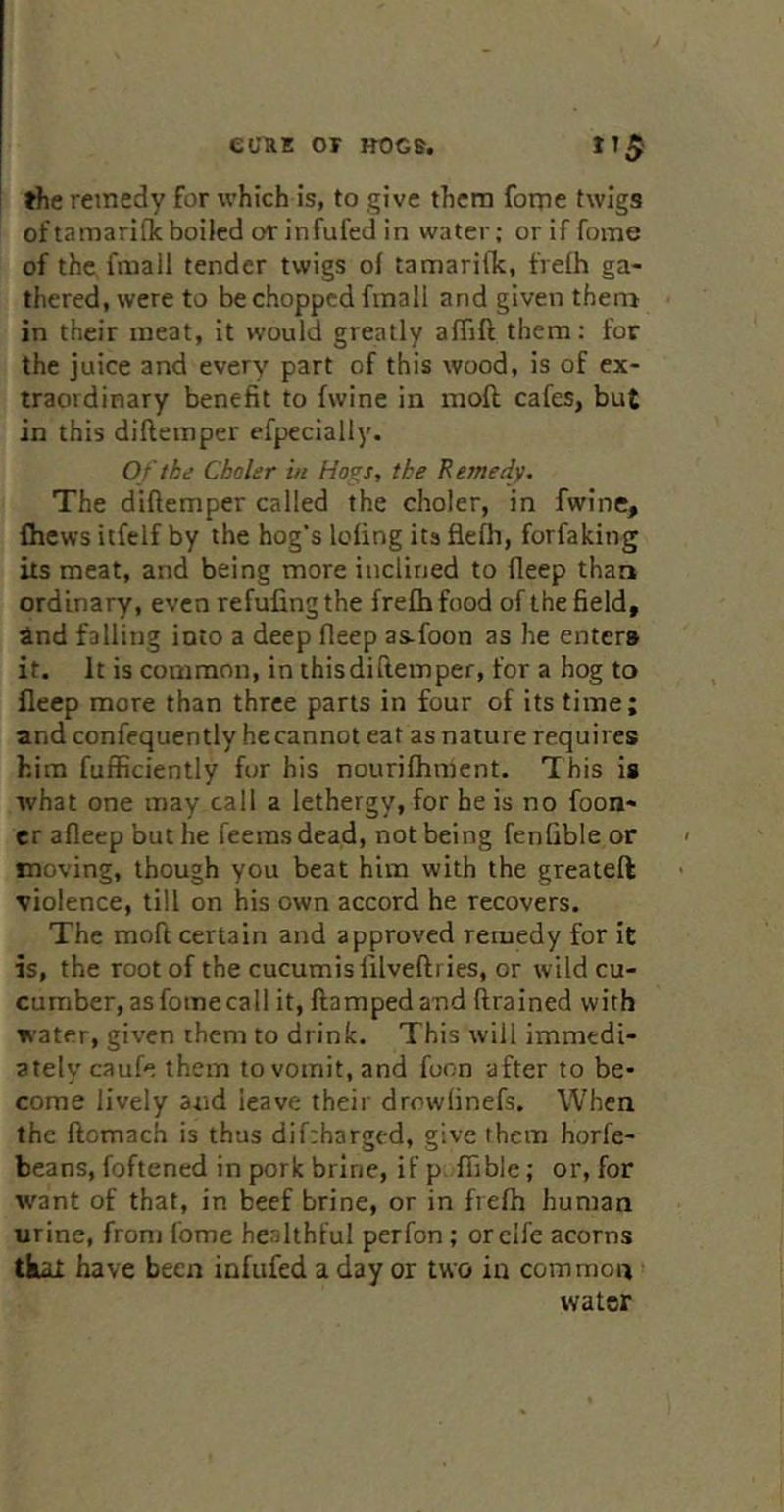 »lic remedy for which is, to give them foipe twigs oftamarlflcboiled or infufed in water; oriffome of the fmall tender twigs of tamarillc, frelh ga- thered, were to be chopped fmall and given them in their meat, it would greatly alTift them: for the juice and every part of this wood, is of ex- traordinary benefit to fwine in moft cafes, but in this diftemper efpecially. Of the Cboler in Hogs, the Remedy. The diftemper called the choler, in fwine, {hews itfelf by the hog's lofing its fiefh, forfaking its meat, and being more inclined to fleep than ordinary, even refufingthe frefhfood of the field, ^nd falling into a deep fleep as-foon as he enters it. It is common, in thisdiftemper, for a hog to fleep more than three parts in four of its time; and confequently hecannot eat as nature requires him fufficiently for his nourifhmcnt. This is what one may call a lethergy, for he is no foon- er afleep but he feeras dead, not being fenfible or moving, though you beat him with the greateft violence, till on his own accord he recovers. The moft certain and approved remedy for it is, the root of the cucumisfilveftries, or wild cu- cumber, asfomecall it, damped and drained with water, given them to drink. This will immedi- ately caufe them to vomit, and foon after to be- come lively and leave their drowlinefs. When the ftomach is thus dif:harged, give them horfe- beans, foftened in pork brine, if p ffible; or, for want of that, in beef brine, or in frefh human urine, from fome herjlthful perfon ; oreife acorns tkax have been infufed a day or two in common water