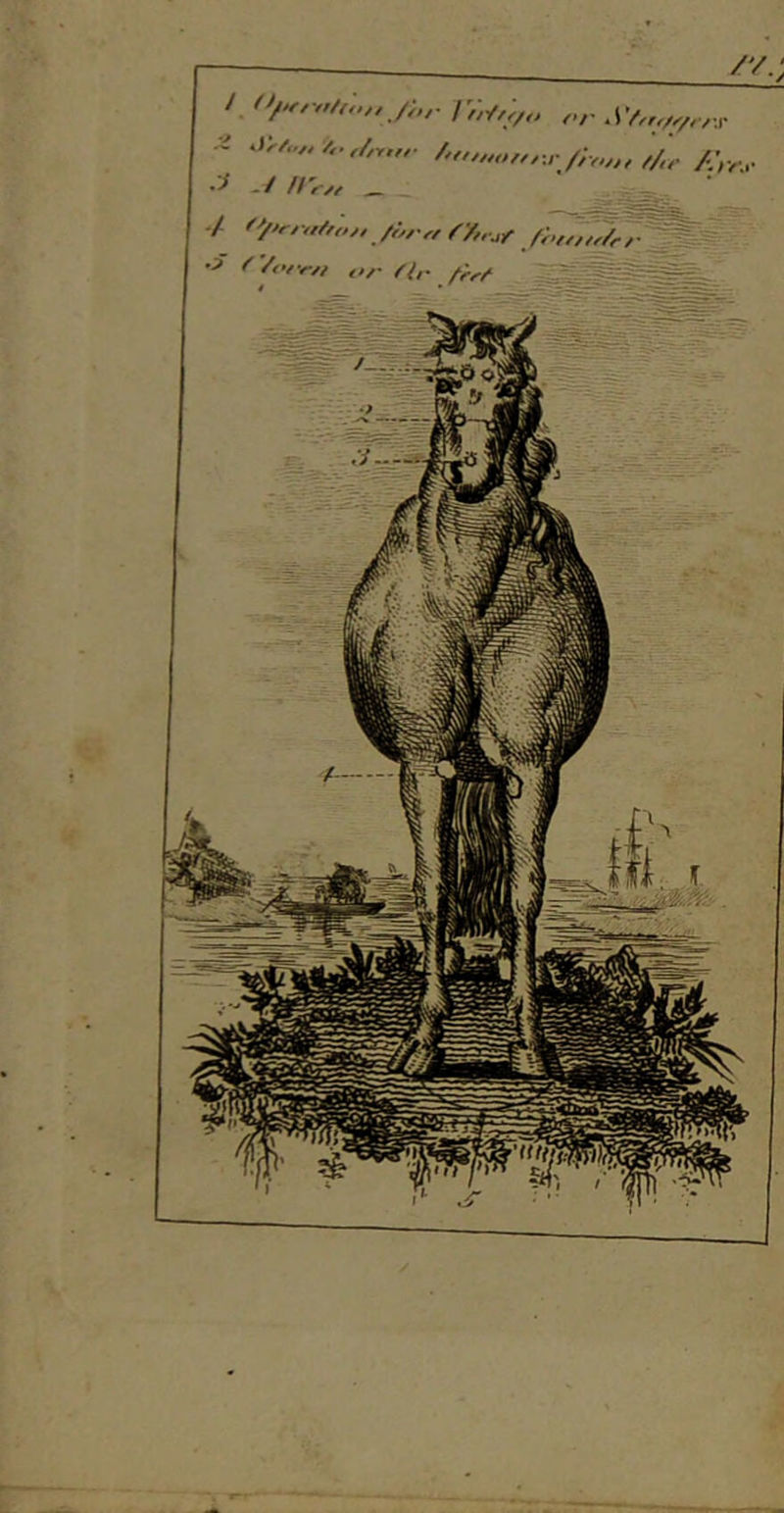 /i •i .i>Av. 4. ,/,„„. :i -/ //w<. _ ^ -/ ''/'rttiffoj, /;„■„ /htf//</r, j r/o ■ ’ •• r if’ ^