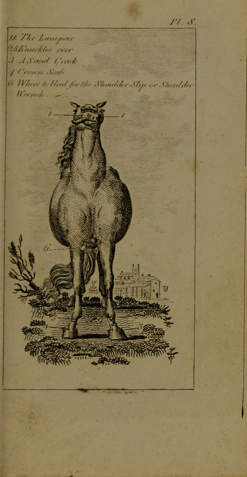 // /z, \ • '* •/-)>/>//■/ j Arrf/* O /f /-/rYf//tu/Ar A7tt»f////rr *\7nf af' Aytffff/i/t'/' // fYfK'/t ^