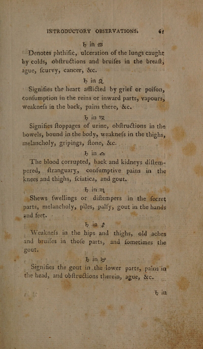 bins ‘Denotes phthific, ulceration of the lungs caught by. colds, óbfítructions and bruifes in the breaft; ague, feurvy, cancer, &c. ^ yn | b ia $, : ! Signifies the heart afflided by grief or poifon, — €onfumption in the reins or inward parts, VSponE weaknefs in the back, pains there, &c. ML hh in mm > Signifies ftoppages of urine, obftructions in the mos bowels, bound in the body, weaknefs i in the thighs, EM ieu güpgs;dlon& &e c... 0o UE | bine de The blood corrupted, back and kidneys diflem- : pered, ftranguary, confumptive pains in the D v Kat aud thighs, {ciatica, and gout, TS | diu m VA VM ^ HERR fwellings or diftempers - in WE M parts, melancholy, piles, pally, gout in the hands and feet. 4 Buh. 39 dm ys AR. (oh aot; oM. Mer Weaknefs in the hips and thighs, 2 ane ae ei ve and. bruifes in thofe parts, and fometimes the M gout. €. . | P ; Pie T5 ink? ecg 1 AT ADU ‘be: ante in the i hace parts, pains ug c8 Ea | 3 the head, and obftructions dud ague, &c. PS 1 y à P» X - / ? uw