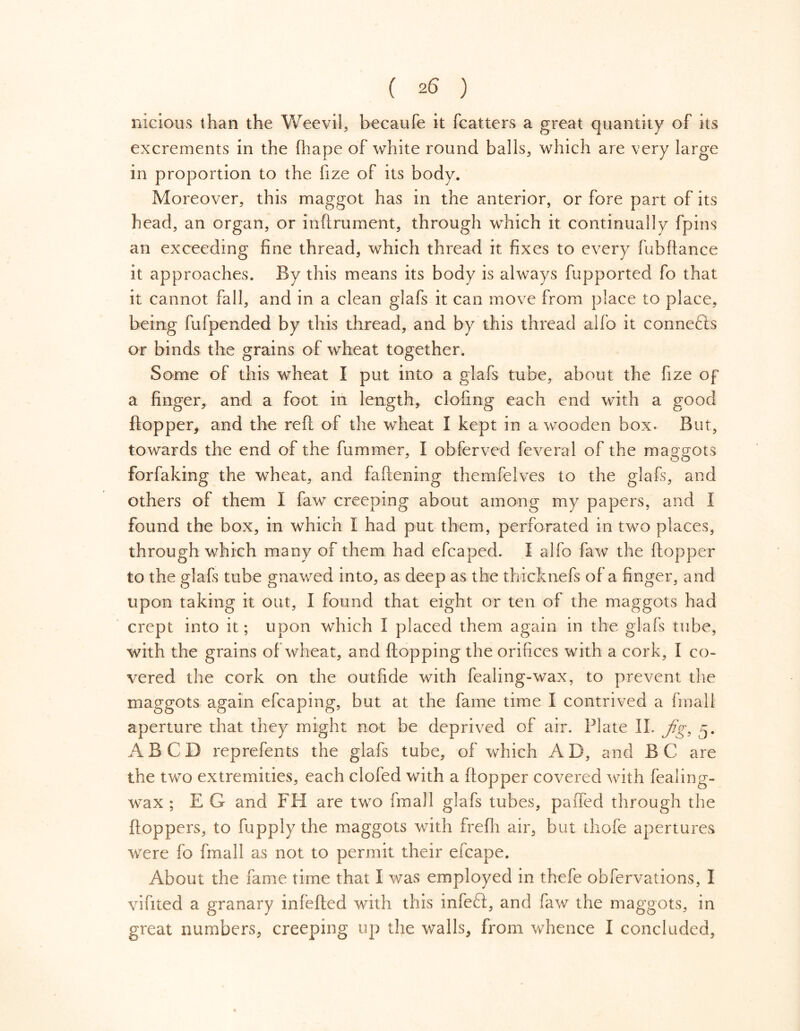 nicious than the Weevil, becaufe it fcatters a great quantity of its excrements in the fhape of white round balls, which are very large in proportion to the iize of its body. Moreover, this maggot has in the anterior, or fore part of its head, an organ, or inftrument, through which it continually fpins an exceeding fine thread, which thread it fixes to every fubftance it approaches. By this means its body is always fupported fo that it cannot fall, and in a clean glafs it can move from place to place, being fufpended by this thread, and by this thread aifo it connects or binds the grains of wheat together. Some of this wheat I put into a glafs tube, about the fize of a finger, and a foot in length, doling each end with a good ftopper, and the reft of the wheat I kept in a wooden box. But, towards the end of the dimmer, I obferved feveral of the maggots forfaking the wheat, and faftening themfeives to the glafs, and others of them I faw creeping about among my papers, and I found the box, in which I had put them, perforated in two places, through which many of them had efcaped. I alfo faw the ftopper to the glafs tube gnawed into, as deep as the thicknefs of a finger, and upon taking it out, I found that eight or ten of the maggots had crept into it; upon which I placed them again in the glafs tube, with the grains of wheat, and flopping the orifices with a cork, I co- vered the cork on the outfide with fealing-wax, to prevent the maggots again efcaping, but at the fame time I contrived a fmall aperture that they might not be deprived of air. Plate II. jg, 5. ABCD reprefents the glafs tube, of which AD, and BC are the two extremities, each clofed with a ftopper covered with fealing- wax ; E G and FH are two fmall glafs tubes, paiTed through the floppers, to fupply the maggots with frefli air, but thofe apertures were fo fmall as not to permit their efcape. About the fame time that I was employed in thefe obfervations, I vifited a granary inlefted with this infedt, and faw the maggots, in great numbers, creeping up the walls, from whence I concluded,