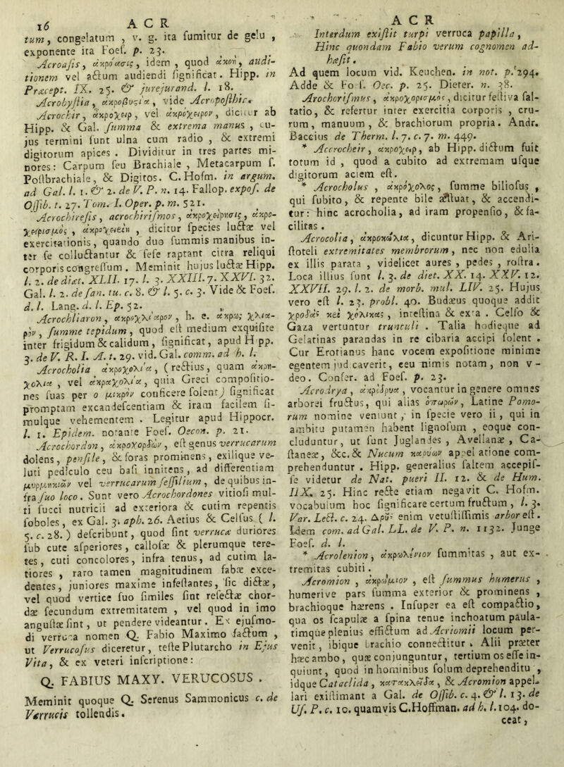 tum, congelatum , v. g. ita fumitur de gelu , exponente ita foef. p. 23. > — Acroajis , ctxpo acig, idem , quod edxovij Audi- tionem vel aSum audiendi fignificat. Hipp. m Prcccept. IX. 25. ^ jurejmand. I. 18. _ Acrobyjlia, dxpofivgix , videAcropoJlbir.- jierockir, «xpo^wp, vel dxpby&pov, dicitur ab Hipp. & Gal. fumma & extrema manus , cu- jus termini iunt ulna cum radio , & extremi digitorum apices . Dividitur in tres partes mi- nores: Camum feu Brachiale , Metacarpum f. Poftbrachiale, & Digitos. C. Hofm. in /7^ G«/. I.1.&2. de V. P. n. 14. Fallop. expof de Ojjib. t. 27. 7Wi„ I. Oper. p. m. 5 2. r. ' Acrochitefis , acroebirifmos, «xpofcwpvirr? , «xpfl- y&tpiofj.oi , «xpo^etcoi , dicitur fpecies lubfat vel exercitationis, quando duo lummis manibus in- ter fe collucantur & fefe raptant citra reliqui comoris ccrngrefium . Meminit hujus luCts Hipp. /. 2. Je XI.II. x7. /. 5. XXIII.7. XZW. 32. Gal. /. 2. defan. tu. c. 8. /. 5. c- 3- Vlde & FoeU rL /. Lang. d. I. Ep. 52. Acrochltaron , co-.po^X' «pot' ? h. e. «xpa; y\ix- pji/} fumme tepidum , quod eft medium exquifite inter frigidum & calidum , fignificat, apudHpp. 3. ffe K A. I. ./f. /. 29. vid.. Gal. comm. ad h. I. Acrocholia dy.po%o\i'x, (reCius , quam «Voti- yo\ix , vel xxpxyoXix, quia Greci compofitio- nes fu as per 0 ix.ty.pov conficere folent^) fignifLat promptam excandefcentiam & iram facilem fi- mulque vehementem . Legitur apud Hippocr. /. 1. Epidem. notante Foef. Oecon. p. 21. Acrochordon, dxpoXopJar, eft genus verrucarum dolens, penfile, bc foras prominens, exilique ve- luti pediculo ceu bafi innitens, ad differentiam pt.vpiJ.rrAv vel verrucarum fejfilium , de quibus in- fra y«0 loco. Sunt vero Acrocbordones vition mul- ti fucci nutricii ad exteriora & cutim repentis foboles, ex Gal. 31 apb. 26. Aetius & Ceifus ( /. 5. c. 28. ) deferibunt, quod fint verruca: duriores fub cute afperiores, callofe & plerumque tere- tes, cuti concolores, infra tenus, ad cutim la- tiores , raro tamen magnitudinem fabre exce- dentes, juniores maxime infellantes, lic dibta;, vel quod vertice fuo fimiles fint rete&at chor- dae fecundum extremitatem , vel quod in imo angufite fint, ut pendere videantur. Ex ejufmo- di verruca nomen Q; Fabio Maximo fa&um , ut Verrucofus diceretur, tefte Plutarcho in Ejus Vita, & ex veteri inferiptione: Q. FABIUS MA.XY. VERUCOSUS . Meminit quoque Q.. Serenus Sammonicus <r. de Vtrwis tollendis. •* A C R Interdum exiflit turpi verruca papilla, Hinc quondam Fabio verum cognomen ad- hcefit. Ad quem locum vid. Keuchen. in not. pl294. Adde & bo f- Oec. p. 25. Dieter. n. 38. Atochorifmus, dxpoyopur/ur><, dicitur feitiva fal- tatio, & refertur inter exercitia corporis , cru- rum, manuum, & brachiorum propria. Andr. Bacchus de Tberm. I. 7. c. 7. m. 449. * Accrocbeir, p, ab Hipp. di&um fuit totum id , quod a cubito ad extremam ufque digitorum aciem eft. * Acrocholus , dxpoyoXog, fumme biliofus , qui fubito, & repente bile abluat, & accenefi- turft hinc acrocholia, ad iram propenfio, & fa- cilitas . Acrocolia , uxpowXix, dicuntur Hipp. & Ari- ftoteli extremitates membrorum, nec non edulia ex illis parata , videlicet aures , pedes , roftra. Loca illius funt l.^.de diet. XX. 14. XXV. 12. XXVII. 29./. 2. de morb. mul. LIV. 25. Hujus vero eft /. 23. probi. 40. Budasus quoque addic ypold.t net yoXtxx;, inreftina & ex-a . Cello ik Gaz.a vertuntur trunculi . Talia hodieque ad Gelatinas parandas in re cibaria accipi folent . Cur Erotianus hanc vocem expolitione minime egentem jud caverit, eeu mimis notam, non v- deo. Confer, ad Foel. p. 23. Acrodrya , xnpilpuct, vocantur in genere omnes arborei fru&us, qui aiias o-nupdv, Latine Pomo- rum nomine veniunt ,• in lpecie vero ii , qui in ambitu putamen habent lignofum , eoque con- cluduntur, ut funt Juglandes , Avellanae , Ca- ftane^, &c.& Nucum xeepuav apeel atione com- prehenduntur . Hipp. generalius faltem accepif- fe videtur de Nat. pueri II. il. & de Hum. I1X. 25. Hinc refte etiam negavit C. Hofm. vocabulum hoc fignificare certum fruftum , /.3. Var. Lett. c. 24. Api?’ enim vetuftiiTimis arboreti. Ldem com.adGal.EL.de V. P. n. 11^2. Junge Foef. d. I. * Acrolenion, dxpta\huov fummitas , aut ex- tremitas cubiti. Acromion , cixpu/j.‘ov , eft fummus humerus , humerive pars futnma exterior & prominens , brachioque haerens . Infuper ea eft compa&io, qua os fcapulae a fpina tenue inchoatum paula- timque plenius effi&um ad Acriomii locum per- venit , ibique brachio connetftitur . Alii prxter htecambo, qute conjunguntur, tertium osefTe in- quiunt, quod in hominibus folum deprehenditu , idque Catac/ida , x*T<xxXH<f« , & Acromion appeL lari exiftimant a Gal. de Ojjib. c. t. 13. de Uf.P.c. 10. quamvis C.Hoffman. adk.l. 104. do- ceat ,