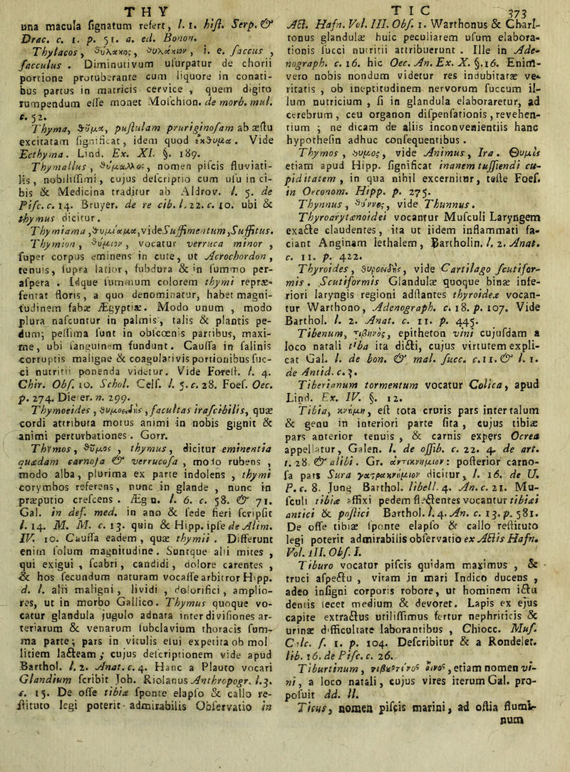 una macula fignatum refert, /. r. hiji. Serp.& Drac. c. t. p. 5f. a. ed. Bono». Thyi acos , Voxcexior , i. e. Jaecus , facculus . Diminutivum ufurpatur de chorii portione protuberanre cum liquore in conati- bus partus in matricis cervice , quem digito rumpendum elfe monet Moichion. de morb. mul. e. 52. Thyma, So/xx, pufiulam pruriginofam ab teflu excitatam fignificat, idem quod t\$u[Xce. Vide Ectkyma. Lind. £*. Af/. §. 189. Thyna Ilus , Sv/au-Mo; , nomen pifeis fluviati- lis, n-obilifflmi, cujus deferiptio cum ulu in ci- bis & Medicina traditur ab Aldrov. /. 5. tfV Pi/c.c. 14. Bruyer. de re cib. I. 22. c. 10. ubi & thymus dicitur. Thy miama y^roixikixu ^'xAtS uffmentum yS ujftus. Thymion , $u{xtoi> , vocatur verruca minor , fuper corpus eminens in cute, ut Acrochordon, tenu's, iupra latior, fubdura &'n fummo per- afpera . £dque lummum colorem thymi repras- fentat floris, a quo denominatur, habet magni- tudinem fabas iEgyptix. Modo unum , modo plura nafcuntur in palmis’, talis & plantis pe- dum; pelfima lunt in oblcoenis parribus, maxi- me, ubi fanguinem fundunt. CaulTa in falinis corruptis maligne tk coagulari vis portionibus fuc- ci nutriri' ponenda videtur. Vide Foret!. /. 4. Chir. Obf. 10. Schol. Celf. /. ^.c. 28. Foef. Oec. p. 274. Die er. n. 199. Tbymoeides , Hu/xo^Jns ,facultas irafctbilif, qua; cordi attributa motus animi in nobis gignit & animi perturbationes . Gorr. Thymos, $o[xos , thymus, dicitur eminentia quedam earnofa & vtrrucofa , molo rubens , modo alba, plurima ex parte indolens , thymi corymbos referens, nunc in glande , nunc in praspotio crefcens . fiEg n. /. 6. c. 58. & 71. Gal. in def. med. in ano & (ede fieri fcripfit /.14. M. M. c. 13. quin <§c Hipp. ipfe de Altm. IV. 10. CaurTa eadem, quae thymii . Differunt enim 1'olum magnitudine. Suntque alii mites , qui exigui , fcabri, candidi, dolore carentes , & hos fecundum naturam vocaffe arbitror H<pp. d. /. alii maligni , lividi , doiorifici , amplio- res, ut in morbo Gallico. Thymus quoque vo- catur glandula jugulo adnara inter di vifiones ar- teriarum & venarum lubclavium thoracis fum- raa parte; pars in vitulis elui expetita ob mol litiem lafteam y cujus deferiptionem vide apud Barthol. /.2. Anat.c. 4. Hanc a Plauto vocari Glandiuryt feribit Joh. Riolanus Anthrcpogr. /.3. e. 15* De ofie tibia fponte elapfo & callo re- iiituto legi poterit - admirabilis Obfervatio in Aci. Hafn. Vd. III. Obf 1. Warthonus & Ch-arl- tonus glandulas huic peculiarem ufum elabora- tionis liicci nutritii attribuerunt . Ille in Ade- nograph. c. 16. hic Oec. An. Ex. X. §.16. Enirfl- vero nobis nondum videtur res indubitatas ve* ritaris , ob ineptitudinem nervorum fuccum il- lum nutricium , fi in glandula elaboraretur, ad cerebrum, ceu organon difpenfationis, revehen- tium ; ne dicam de aliis inconvenientiis hanc hypothefin adhuc confequentibus. Thymos , -ijuftoy, vide Animus, Ira. Qu/xcs etiam apud Hipp. fignificat inanem tujjiendi cu- piditatem , in qua nihil excernitur, tefle Foef. in Orconom. Hipp. p. 275. Thynnus, , vide Thunnus. Thyroarytenoidei vocantur Mufculi Laryngem exa&e claudentes, ita ut iidem inflammati fa- ciant Anginam iethalem , Bartholin. /. 2. Anat. c. 11. p. 422. Thyroides, -SupowJjir, vide Cartilago fcutifor- mis. Scutiformis Glandulas quoque binas infe- riori laryngis regioni adflantes thyroidea vocan- tur Warthono, Adenograph. c. 18. p. 107. Vide Barthol. /. 2. Anat. c. 11. p. 445. Tibenumi , epitheton vini cujufdam a loco natali Vba ita di£ti, cujus virtutem expli- cat Gal. I. de bon. & mal. fucc. c.\i.& I. 1. de Antid. c. 3. Tiberianum tormentum vocatur Colica, apud Lind. Ex. IV. §. 12. Tibia, xvtW, efl tota cruris pars inter talum & genu in interiori parte fira , cujus tibiae pars anterior tenuis , & carnis expers Ocrea appellatur, Galen. /. de offib. c. 22. 4- de art. t. 28 & alibi. Gr. ccrrixvuixioy: poflerior carno- fa pars Sura yot'; panxi(xtov dicitur, /. i<5. de U. P.c. 8- Jung Barthol. libell. 4. An.c. 21. Mu- fculi tibiae affixi pedem flsflenres vocantur tibi ei antici & pnjlici Barthol. /. 4. An. c. 13. p. 5 81. De ofie tibiae (ponte elapfo & callo reftiruto legi poterit admirabilis obfervatio ex AElis Hafn» Vot. HI. Obf. I. Tiburo vocatur pifeis quidam maximus , & truci afpeftu , viram jn mari Indico ducens , adeo infigni corporis robore, ut hominem i&u dentis lecet medium & devoret. Lapis ex ejus capite extrarius utiliflfimus fertur nephriticis & urina; chfficultate laborantibus , Chiocc. Muf. Cdc. /. 1. p. 104. Defcribitur & a Rondeler. lib. t6.de Pifc.c. 26. Tiburtinum y n/SuniroS etiam nomen vi- ni y a loco natali, cujus vires herum Gal. pro- pofuit dd. //. Titus i nomea pifeis marini, ad oflia flumlr sium