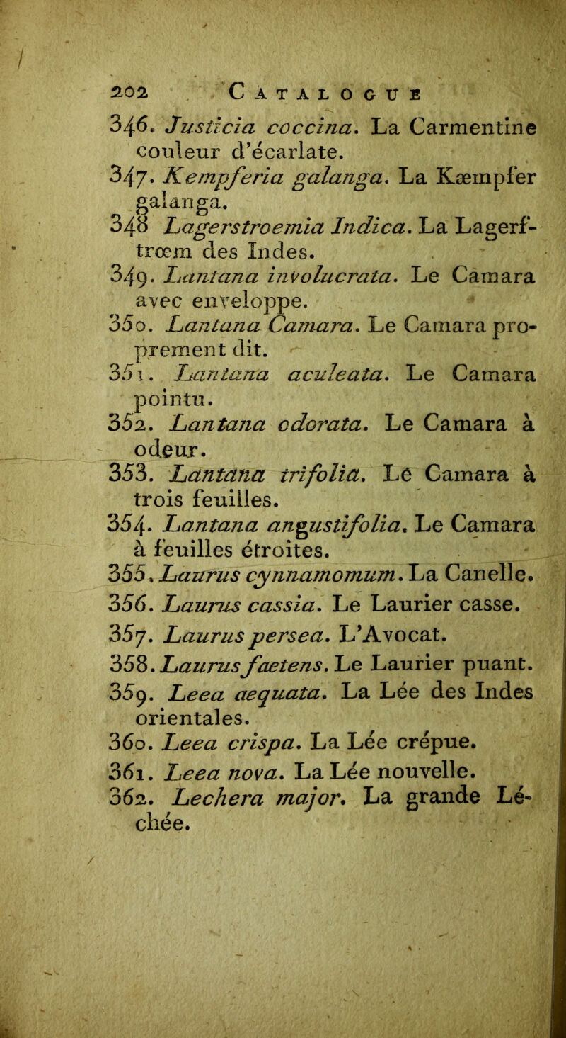 346« Justzcia coccina. La Carmentine couleur d’écarlate. 347. Kempferia galanga. La Kæinpfer _ galanga. 04B Lagerstroemia Indica. La Lagerf- trœm des Indes. 349. hanlana involucrata. Le Camara avec enveloppe. 350. Lantana Camara. Le Camara pro- prement dit. 351. Lantana aculeata. Le Carnara pointn. 352. Lantana odorata. Le Camara à odeur. 353. Lantana trifolia. Lé Camara à trois feuilles. 354. Lantana angustifolia. Le Camara à feuilles étroites. 355. Laurus cgnnamomum. La Canelle. 356. Laurus cassia. Le Laurier casse. 35y. Laurus persea. L’Avocat. 358. Laurusfaetens. Le Laurier puant. 359. Leea aequata. La Lee des Indes orientales. 360. Leea crispa. La Lee crépue. 361. Leea nova. La Lée nouvelle. 36s. Léchera major. La grande Lé- chée.