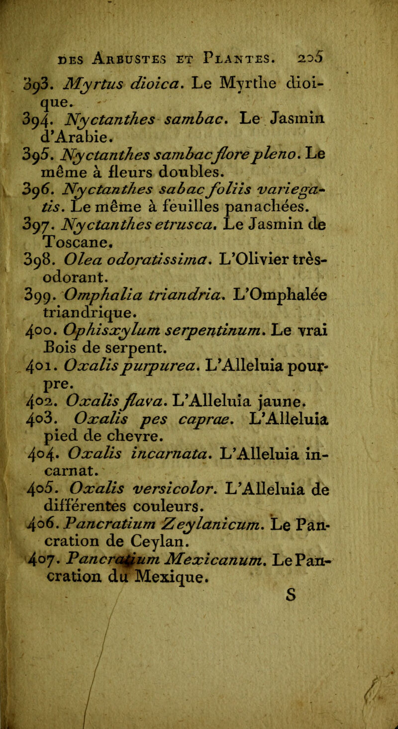 3 fl. Myrtus dioica. Le Myrtlie dioi- que. 394. Nyctanthes sambac. Le Jasmin. d’Arabie. 395. Nyctanthes sambacflore pleno. Le même à fleurs doubles. 396. Nyctanthes sabacfoliis variega- tis. Le même à feuilles panachées. 397. Nyctanthes etrusca. Le Jasmin de Toscane, 398. Olea odoratissima. L’Olivier très- odorant. 399. Omphalia triandria. L’Omphalée triandrique. 4°o. Ophisxylum serpentinum. Le vrai Bois de serpent. 401. Oxalispurpurea. L’Alleluia pour- pre. 402. Oxalis flava. L’Alleluia jaune. 4°3. Oxalis pes caprae. L’Alleluia pied de chevre. 4°4. Oxalis incarnata. L’Alleluia in- carnat. 405. Oxalis versicolor. L’Alleluia de différentes couleurs. 406. Pancratium Zeylanicum. Le Pan- cration de Ceylan. 407. Pancra^um Mexicanum. Le Pan- cration du Mexique. S