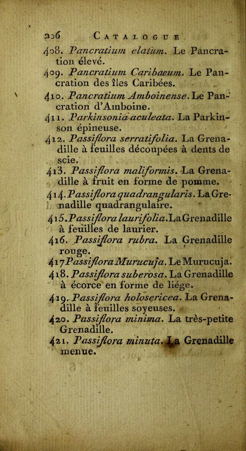 408. Pancratium elatum. Le Pancra- tion élevé. 409. Pancratium Caribaeum. Le Pan- cration des îles Caribées. 410. Pancratium Amboinense. Le Pan- cration d’Ainboine. 411. Parkinsonia aculeata. La Parkin- son épineuse. 412. Passflora serrat folia. La Grena- dille à feuilles découpées à dents de scie. 413. Passiflora maliformis. La Grena- dille à fruit en forme de pomme. 414- Passiflora quadrangularis. LaGre- nadille quadrangulaire. 415. Passiflora lauifolialLiQ.Gtena.diAXQ à feuilles de laurier. 416. Passiflora rubra. La Grenadille rouge. 4i 'jPassfloraMurucuja. LeMurucuja. 418. Passiflora suberosa. La Grenadille à écorce en forme de liège. 419. Passiflora holusericca. La Grena- dille à feuilles soyeuses. 4ao. Passiflora minima. La très-petite Grenadille. 421. Passiflora minuta. 4# Grenadille menue.