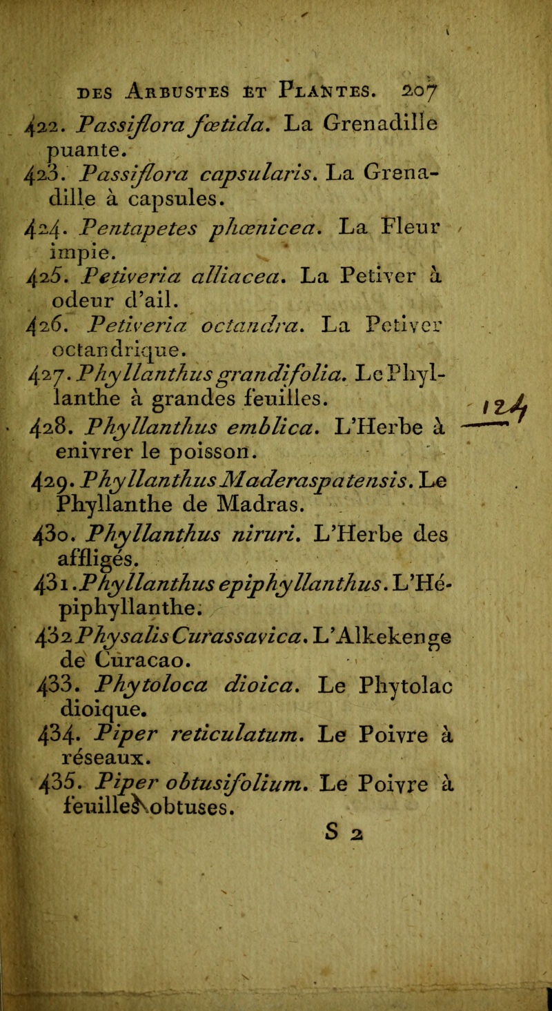 422. Passijlora fœtida. La Grenadille puante. 4^3. Passijlora capsularis. La Grena- dille à capsules. 424. Pentapetes phœnicea. La Fleur impie. 42.5. Petiveria alliacea. La Petiver à odeur d’ail. 4^6. Petiveria ocîandra. La Petiver octandrique. 427. Phyllanthusgrandifolia. LePliyl- lanthe à grandes feuilles. 428. Phyllanthus emblica. L’Hei'be à enivrer le poisson. 429. Phyllanth us Maderaspa tensis. Le Phyllanthe de Madras. 430. Phyllanthus niruri. L’Herbe des affligés. 431 .P hyllanthus epiphyllanthus. L’Hé- piphyllanthe. 482 Physalis Curassavica. L’Alkeken ge de Curaçao. 433. Phytoloca dioica. Le Phytolac dioique. 434. Piper reticulatum. Le Poivre à réseaux. 435. Piper obtusifolium. Le Poivre à feuillei\obtuses. h S 2