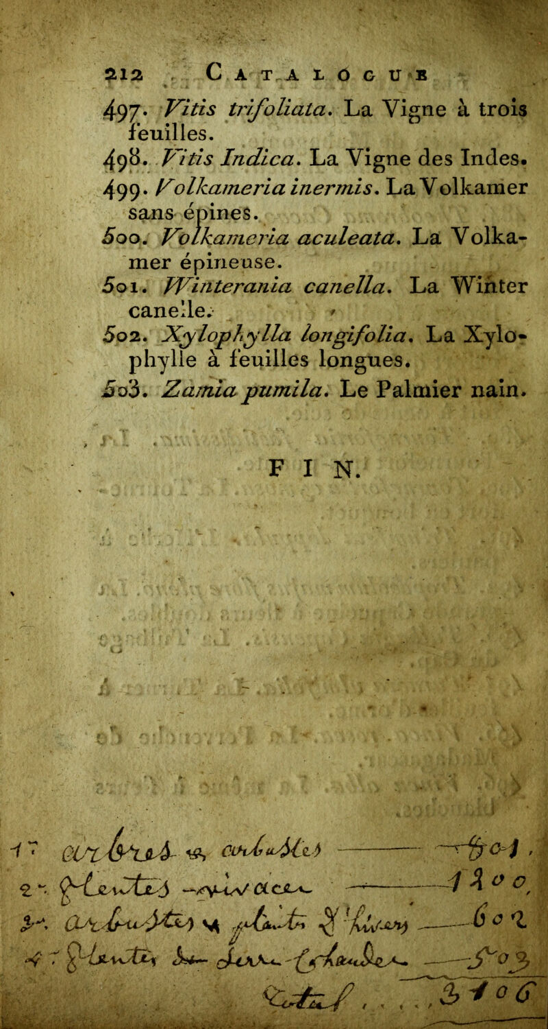 497. Vitis tr/foliata. La Vigne à trois feuilles. 498. Vitis Indica. La Vigne des Indes. 499. Volkameria inermis. La Volkamer sans épines. 500. Vclkameria aculeata. La Volka- mer épineuse. 501. IVinterania canella. La Winter canelle. 502. Xylophylla longifolia. La Xylo« phylle à feuilles longues. üo3. Zamia pumila. Le Palmier nain. F I N. QL'tlvuA ««, ànZ'uMu -Vfcoj . — xy-iW CLCS-*~ ' : 4 % ° o ^ - fi 0 %jsj,. ZVrôc