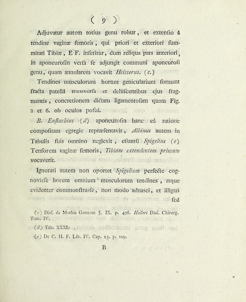 Adjuvatur autem totius genu robur, et extenfio d tendine vaginse femorisqui priori et exteriori fum- mitati Tibise, E F. inferitur, dum reliqua pars anteriori, in aponeurofin verfa fe adjungit communi aponeurofi genu, quam annularem vocavit Helsterus. {c.) Tendines musculorum hordm genicularium formant fradla patelld trmisverfa et deliifcentibiis ejus frag- mentis , concretionem diftam ligamentofam quam Fig. 2 et 6. ob oculos pofui. B, Eujlachius [d) aponeurofin hanc ea ratione compofitam egregie repraefentavit, Albinus autem in Tabulis fuis omnino neglexit , efiamfi Spigelius (e) Tenforem vagince femoris. Tibiam extendentem primum vocaverit. Ignorari autem non oportet' SpigeUuift perfefte cog- novisfe horum omnium ^ musculorum tendines , atque evidenter commonflrasfe, non modo adnasci, et illigari fed (c) Disf. de Morbis Genuum 5* IX. p. 496. Halkri Disf. Chlrurg. Tom. IV. (^3 Tab. XXXL' , ; .i (0 De C. H. F. Lib. IV. Gap. 23. p. 129. B