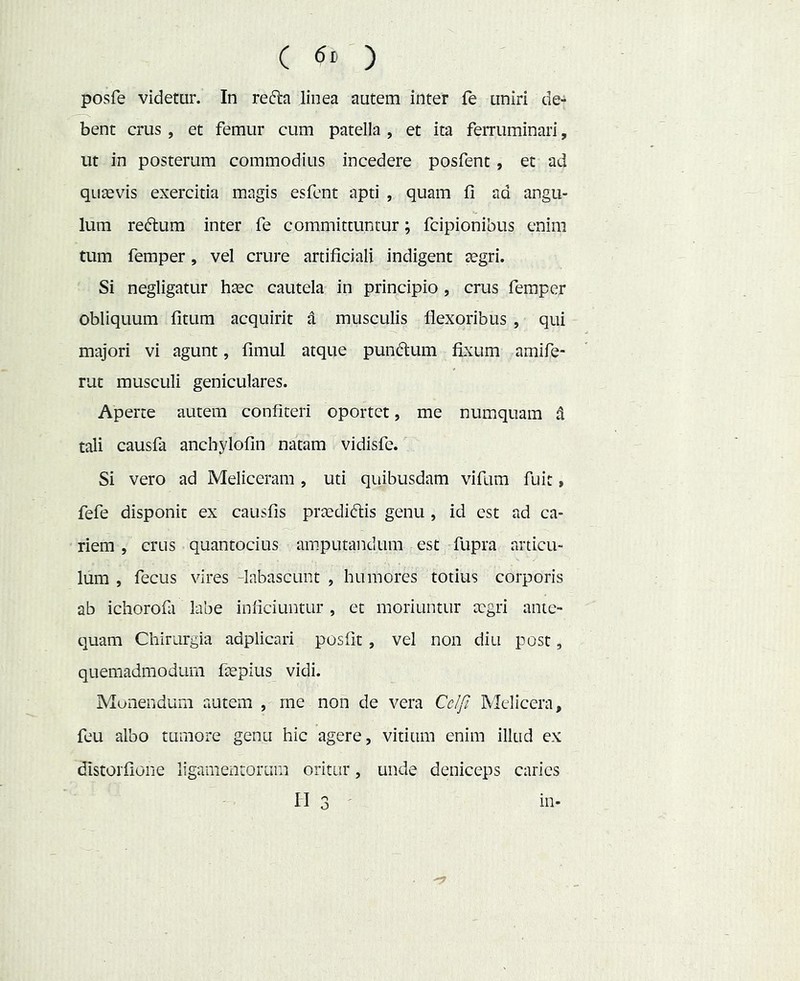 ( ) posfe videtur. In refta linea autem inter fe uniri de- bent crus , et femur cum patella , et ita ferruminari, ut in posterum commodius incedere posfent, et ad quavis exercitia magis esfent apti , quam fi ad angu- lum reatum inter fe committuntur; fcipionibus enim tum femper, vel crure artificiali indigent tegri. Si negligatur haec cautela in principio , crus femper obliquum fitum acquirit d musculis flexoribus , qui majori vi agunt, fimul atque pundum fixum amife- rut musculi geniculares. Aperte autem confiteri oportet, me numquam d tali causfa anchylofin natam vidisfe. Si vero ad Meliceram , uti quibusdam vifum fuit» fefe disponit ex causiis praediftis genu , id est ad ca- riem , crus quantocius amputandum est fupra articu- lum , fecus vires -labascunt , humores totius corporis ab ichorofa labe inficiuntur , et moriuntur aegri ante- quam Chirurgia adplicari posfit , vel non diu post, quemadmodum fepius vidi. Munendum autem , rne non de vera CdjQ Melicera, feu albo tumore genu hic agere, vitium enim illud ex distorfione ligamentorum oritur, unde deniceps caries