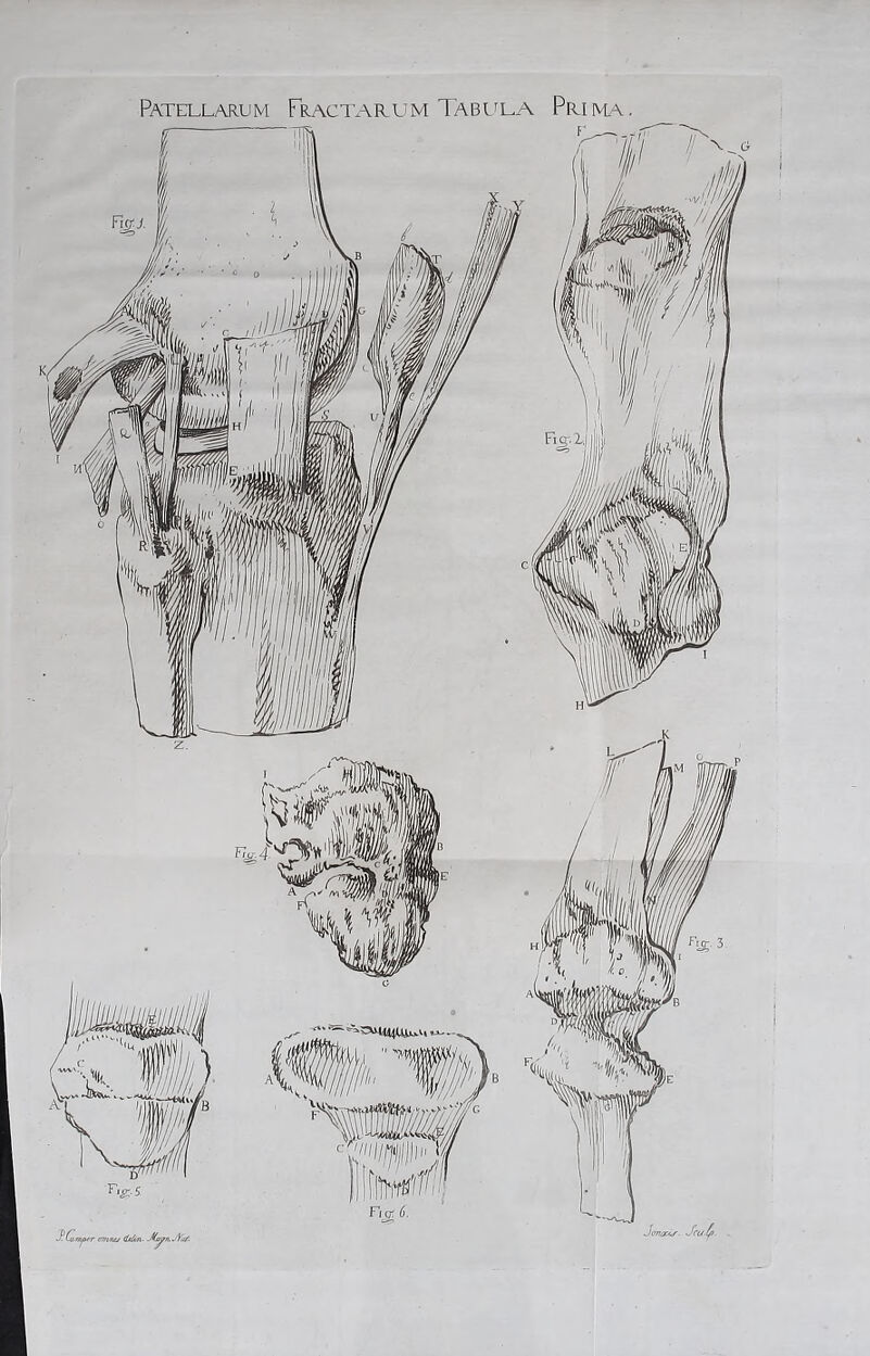 Pate:llarum Fractarum Tabi^la Priivl-\, F'