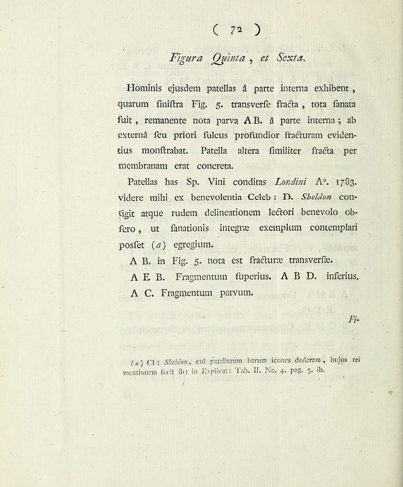 Figiira Quinta , et Sexta. Hominis ejusdem patellas i parte interna exhibent, quarum finiflra Fig. 5. transverfe frafta , tota fanata fuit , remanente nota parva AB. ^ parte interna; ab externa feu priori fulcus profundior fra(5luram eviden- tius monftrabat. Patella altera fimiliter frafta per membranam erat concreta. Patellas has Sp. Vini conditas Lordini A°. 1783. videre mihi ex benevolentia Celeb: D. Sheldon con- tigit atque rudem delineationem lectiori benevolo ob- fero, ut fanationis integrse exempkim contemplari posfet ((^) egregium. A B. in Fig. 5. nota est frafturte transverfse. A E B. Fragmentum fuperius. A B D. inferius. A C. Fragmentum parvum. Fi- la) Cl : Sheldon., cui patellarum barum icones dederam, hujus rei mentionem Iccit ib: in Ibvplicat: lab. II. No. 4. pag. 3. ib. /