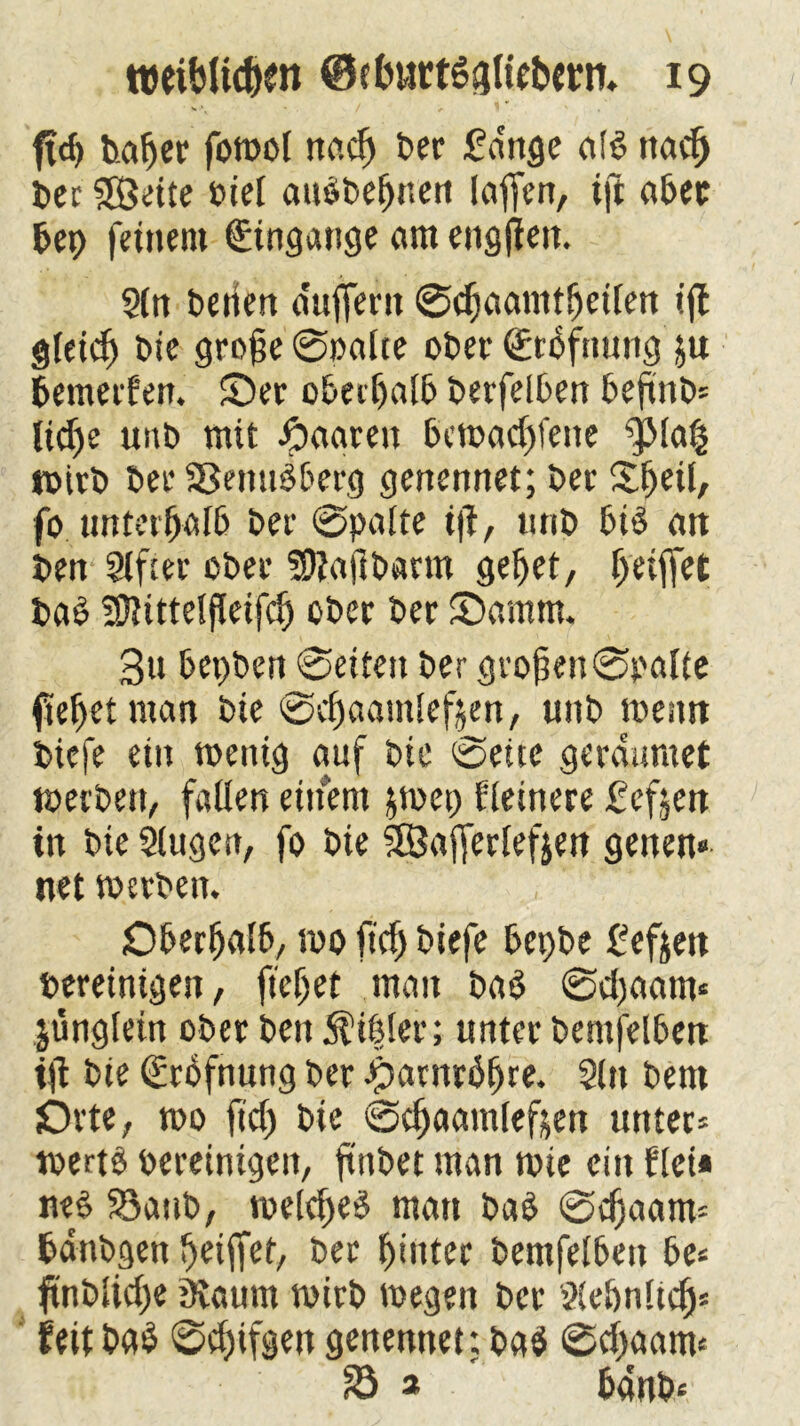 ftcb baber fomol nctcf> ber fange afb ttacf) bec «Brette bief aubbebnen laffen, tft aber bep feinem Eingänge am engften. Sin berien duffem ©cfjcianitfjctfen ift gleich bie grofie 0»afte ober (jürbfnung ju bemerken. Ser oberhalb berfelben beftnb* ltcf)e unb mit paaren bemacbfene ^p(a^ toirb ber SBenubberg genennet; ber X^eit, fo unterhalb ber 0palte ift, unb bib tut ben Slfter ober SDiajlbatm gebet, f>eiffet bab Sftittelffeifcb ober ber Samm. 3u bepben 0eiten ber großen 0pafte ftebctman bie 0cbaamlef$en, unb memt bicfe ein mentg auf bie 0ette gerdumet toecben, fallen einem $mep Heinere 2cfjen in bie Siugen, fo bie 3Safferlef$en genen» net merben. Oberhalb, 100 ftcb biefe bepbe 2eftett bereinigen, fielet man baö ©cbaatm .jungfein ober ben Äibfer; unter bentfelbett tft bie (Erbfnung ber ^arnrbbre. Sin bem Orte, rno fiel) bie ©cbaamleften unter* rnertS bereinigen, ftnbet man rnie ein Hei« ne£ S3aub, mekf)eb man bab 0cbaam* bdnbgen ^etffet, ber hinter bemfefben be* ftnbficbe ütaum rnirb megen ber Siebnltcb* feitbab 0cbtfgett genennet: ba$ 0cbaanu 23 * bemb*