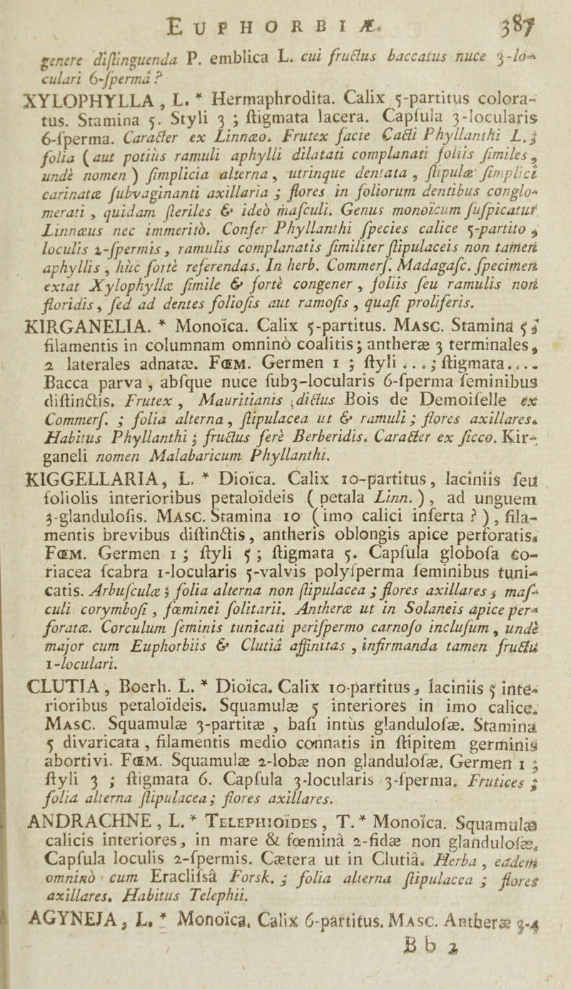 genere: diflinguenda P. emblica L. cui frudus baccatus nuce. 3-1a culari 6-[permá ? XYLOPHYLLA , L. * Hermaphrodita. Calix 5-partitus colora- tus. Stamina 5. Styli 5 ; fligmata lacera. Capfula 5-locularis 6-(perma. Cara&amp;fer ex Linnao. Frutex facie Catli Phyllamhi L.j folia (aut potits ramuli aphylli dilatati complanati folis fimiles , undé nomen) fimplicia alterna , utrinque dentata , flipulg: fimplict carinatg fubvaginanti axillaria 5 flores. in. foliorum dentibus conglo« merati , quidam fleriles &amp; ideo ruafculi. Genus monoicum fufpicatur. Linneus nec immeritó. Confer Phyllanthi fpecies calice $-partito 4 loculis a-[permis , ramulis complanatis fimiliter (lipulacels non taimeri aphyllis , hàc forté. referendas. In herb. Commerf. Madagafc. [pecimern extat. X ylophylle. fimile &amp; forté congener , folis feu ramulis nori floridis , fed ad dentes foliofis aut ramofis , quaft proliferis. KIRGANELIA. * Monoica. Calix 5-partitus. Masc. Stamina $3 filamentis in columnam omnino coalitis ; anthere 3 terminales , 2 laterales adnatze. F&amp;M. Germen 1 ; ftyli .. . ; ftigmata.... Bacca parva , abfque nuce fub3-locularis 6-fperma feminibus diftin&amp;is, Frutex , Mauritianis ,di(fus Bois de Demoifelle ex Commerf. ; folia alterna, (pulacea ut &amp; ramuli; flores axillares, Habitus Phyllanthi j fru&amp;us feré. Berberidis. Caratfer ex ficco. Kir ganeli zomen Malabaricum. Phyllanthi. KIGGELLARIA, L. * Dioica. Calix ro-partitus, laciniis feit foliolis interioribus petaloideis ( petala L;zz.), ad unguem 3-glandulofis. Masc. Stamina 10 (imo calici inferta ? ) , fila- mentis brevibus diftindis, antheris oblongis apice perforatiss FGM. Germen 1 ; ftyli 5; ftigmata 5. Copfula globofa €o- riacea ícabra i-locularis 5-valvis polyíperma feminibus tuni- catis. Jrbufcule $ folia alterna non (lipulacea 5 flores axillares ; maf* culi. corymboft , feminei folitarii, Anthere ut in. Solaneis apice pera forate. Corculum feminis tunicati perifpermo carnofo inclufum , undé major cum Euphorbis &amp; Clutiá affinuas , infirmanda tamen. frudu 1 -loculari. CLUTIA , Boerh. L. * Dioica. Calix ro-partitus ; laciniis $ inte« rioribus petaloideis. Squamule $ interiores in imo calice, Masc. Squamule 35-partite , bafi intus glandulofz. Stamina $ divaricata , filamentis medio connatis in flipitem germinis abortivi. F&amp;M. Squamule 2-lobz non glandulofe. Germer 1 ; ftyli 4 ; ftigmata 6. Capfula 3-locularis 3-fperma. Frutices ; folia alterna. (lipulaceas flores axillares. ANDRACHNE , L. * TrrrePHioiprs, T.* Monoica. Squamülaà calicis interiores, in mare &amp; foeminà 2-fide non glaüdulofze, Capfula loculis 2-fpermis. Cetera ut in Clutià. Herba , ezxdei omnim: cum Erachísà Forsk. ; folia akerna flipulacea ; flores axillares, Habitus Telephu. | AGYNEJA , L, * Monoica, Calix 6-partitus, MAsc. Antberae 9-4 Bb