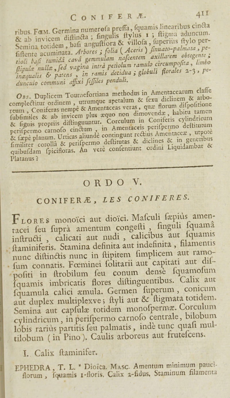  * Lj CoNwNIiFER X. 41I ribus. Fa. Germina numerofa pros , fquamis linearibus cincta &amp; ab invicem diftinda ; fingulis ftylus 1 ; ftigma aduncum. Semina totidem , bafi anguftiora &amp; villofa , fuperius ftylo per- fiftente acuminata. Zrbores ; folia ( Aceris ) fínuato-palmata , pe- roli baft tumidá cavá gemmulam nafcentem | axillarem obtegente 5 flipule nulla , fed vagina intrà petiolum ramulo circumpofita , limbo inequalis &amp; patens , in ramis decidua 5 globuli florales 2-3 pe- dunculo communi afüxi feffiles penduli. Oss. Duplicem Touraefortiana methodus in Amentacearum claffe complectitur ordinem , utrumque apetalum. &amp; fexu diclinem &amp; arbo- reum , Coniferas nempe &amp; Amentaceas veras, quz forum difpofitione (ub&amp;miles &amp; ab invicem plus zquo non dimovendze , habitu tamen &amp; fignis propriis diftinguuntur. Corculum in Coniferis cylindricum perifpermo carnofo cindum , 1n Amentaceis perifpermo deftitacum &amp; fzpà planum. Urticas aliundé contingunt rectiüs Amentacez , utpoté (militer corollà &amp; perifpermo deftitutas &amp; diclines &amp; in generibus quibufdam fpicifloras. An veré confentiunt ordini Liquidambar &amp; Platanus ? JURA eie discira utem tuum muica ieget QUOD O3 V. CONIFERA£, LES CONIFERES. Fronrs monoici aut dioici. Mafculi fzpiüs amen- tacei feu fuprà amentum congelti , finguli fquamá infüru&amp;i , calicati aut nudi , calicibus aut Íquamis ftaminiferis. Stamina definita aut indefinita , filamentis nunc diftin&amp;is nunc in ftipitem fimplicem aut ramo- (fum connatis. Foeminei folitarii aut capitati aut dií- quamis imbricatis flores diftinguentibus. Calix aut fquamula calici xmula. Germen fuperum , conicum aut duplex multiplexve; ftyli aut &amp; ftigmata totidem. Semina aut capfule totidem monofpermz. Corculum cylindricum , in perifpermo carnofo centrale, bilobum lobis rarius partitis feu palmatis , inde tunc quafi mul- tilobum ( in Pino). Caulis arboreus aut frutefcens. L Calix ftaminifer. | EPHEDRA , T. L. * Dioita. Masc. Amentum minimum pauci. florum , Íquamis 1-floris, Calix 2-fidus, Staminum filamenta