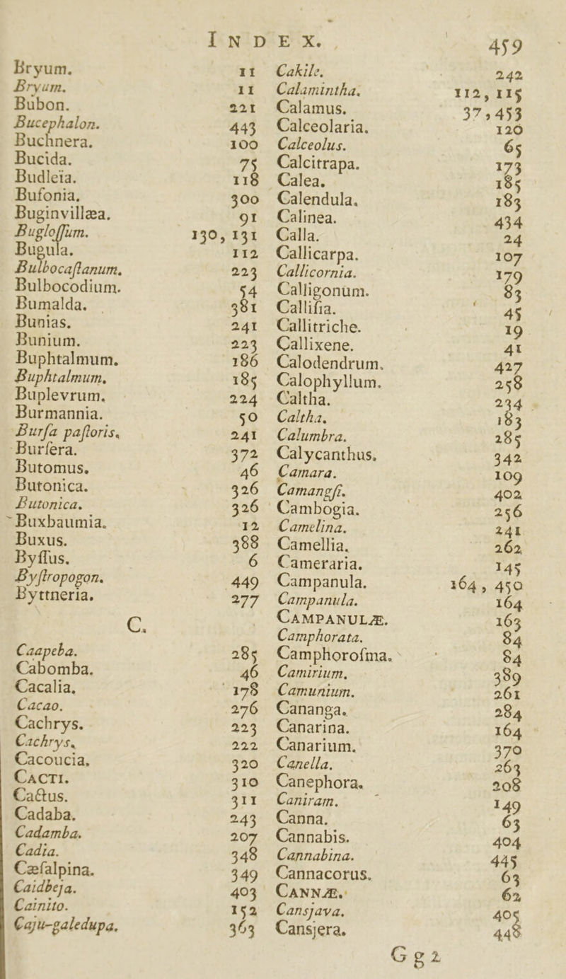 Bryum. Bubon. Bucephalon. Buchnera. Bucida. Budleia. Bufonia. Buginvillza. m aun: Bugula. Bumalda. | Bunias. Bunium. Buphtalmum. Buphtalmum, Buplevrum. Burmannia. Buría pa[toris. Bele Butomus. Butonica. B utonica.  Buxbaumia. Buxus. By flus. B yflropogon. Byttneria. Caapeba. Cabomba. Cacalia, Cacao. Cachrys. - Cachrys. Cacoucia, CaAcrT1. Ca&amp;us. Cadaba. Cadamba. Cadia. Cafalpina. Caidbeja. Cainito. Caju-galedupa. C. 150, Calamintha. Calamus. Calceolaria. Calceolus. Calcitrapa. Calea. Calinea. Calla. Callicarpa. Callicornia. Calligonum. Callifia. Callitriche. Callixene. Calodendrum. Calophyllum. Caltha. Caltha. — Calumbra. Calycanthus, Camara. Camangfr. Camelina. Camellia. Cameraria. Campanula. Campanula. CAMPANULJE, Camphorata. Camphorofia. : Camirium. Camunium. Cananga. Canarina. Canarium. Canella. Canephora. Caniram. 1 Canna. Cannabis. Cannabina. Cannacorus. CANNAE.: Cansjava. Cansjera, Gg2a 459 242 II$ 164, 120